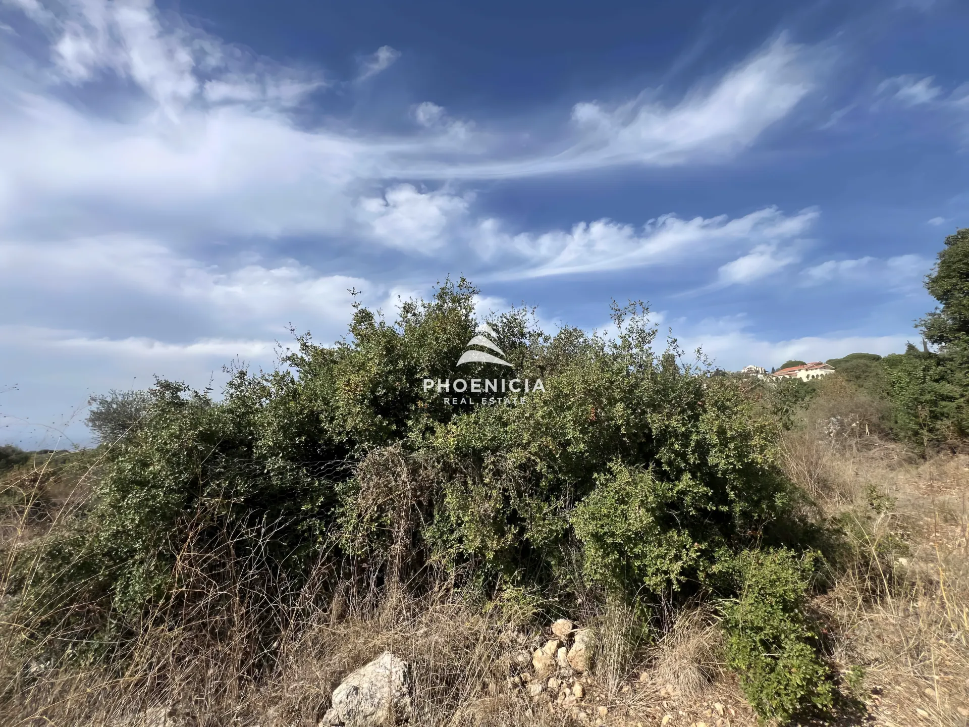 Land for Sale in Chikhane