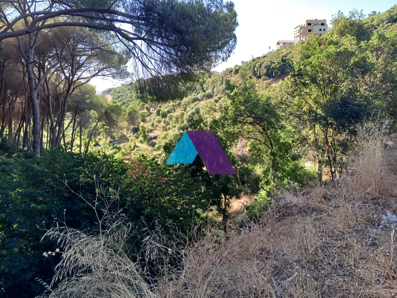 Land for Sale in Kfarshima