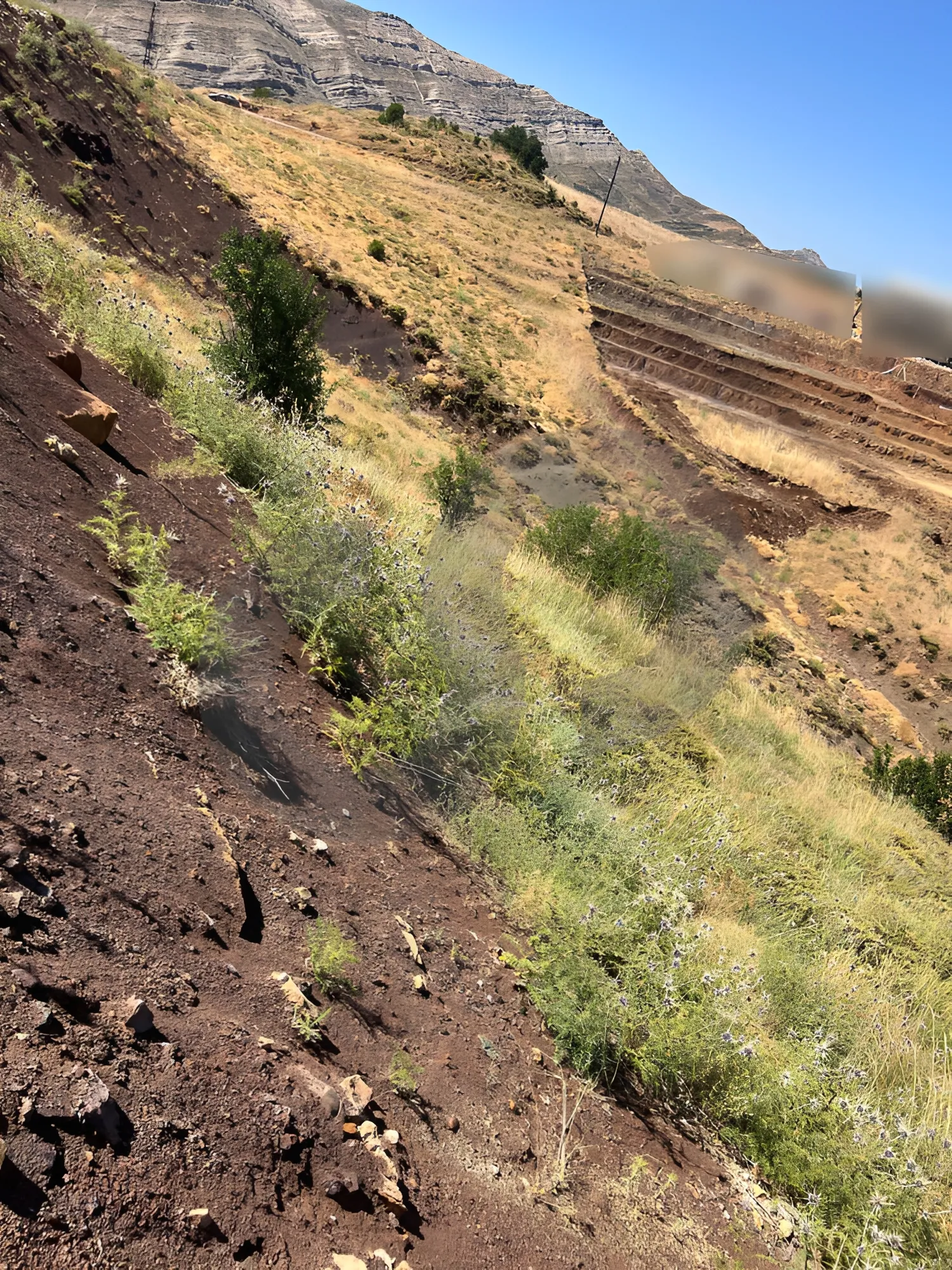 Land for Sale in Tannourine El Tahta