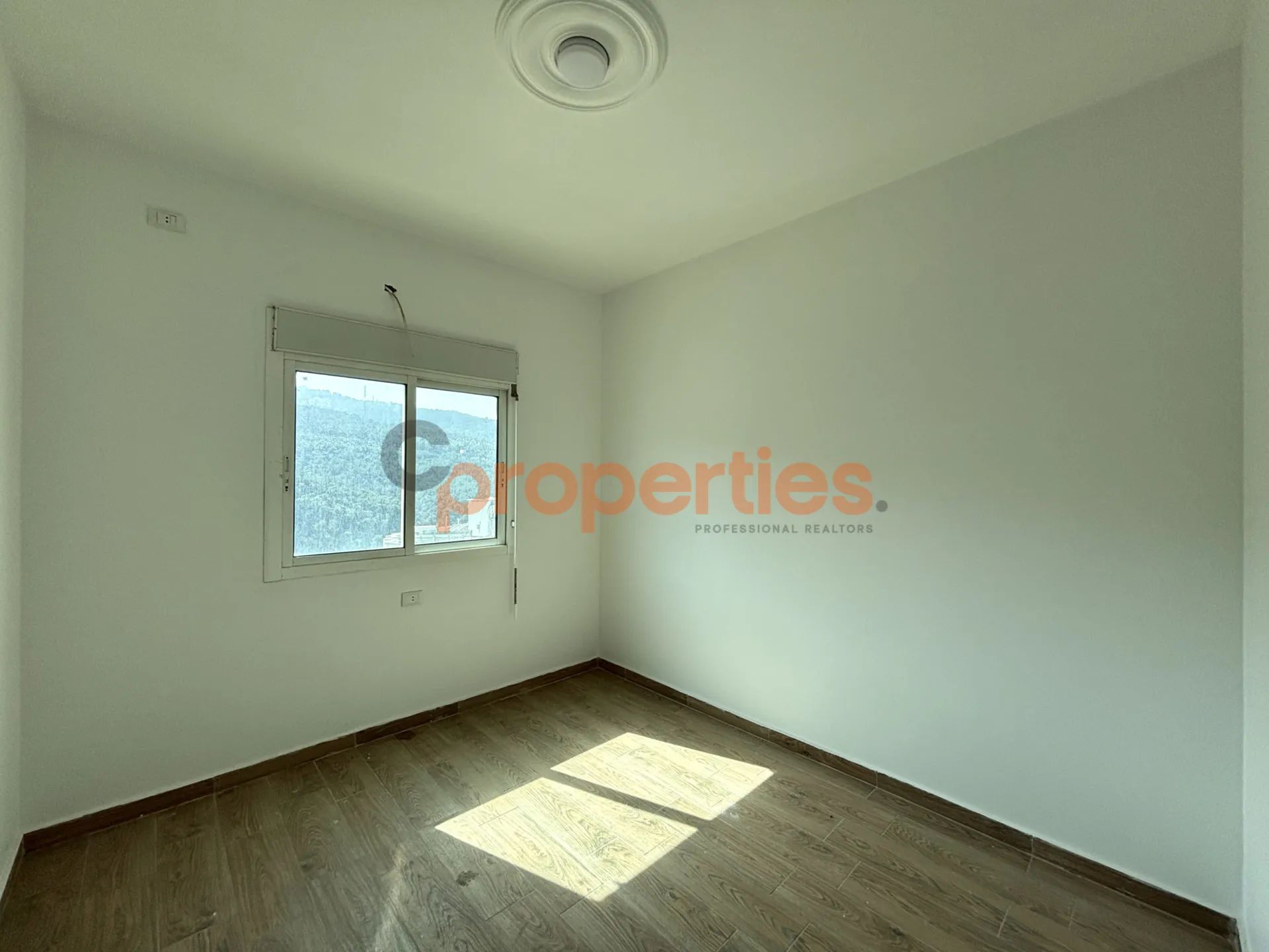 Apartment for Sale in Bsalim