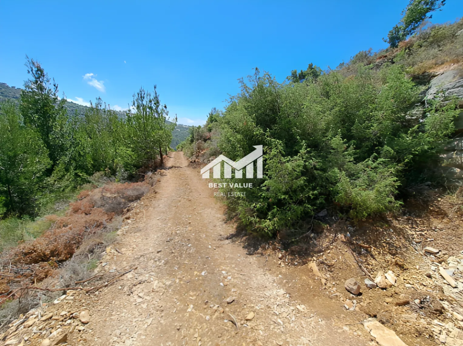 Land for sale in Assia, Lebanon