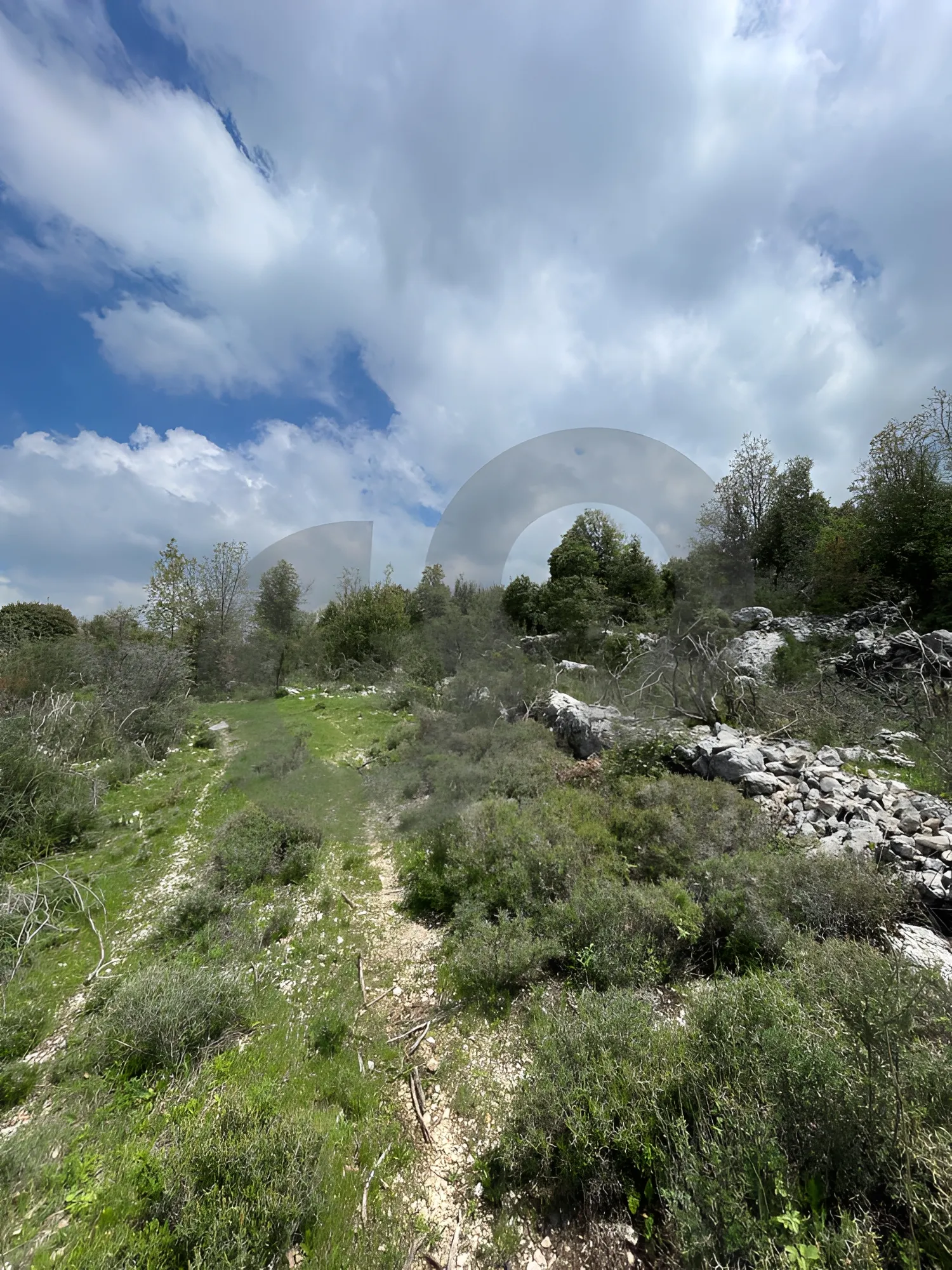 Land for Sale in Lehfed