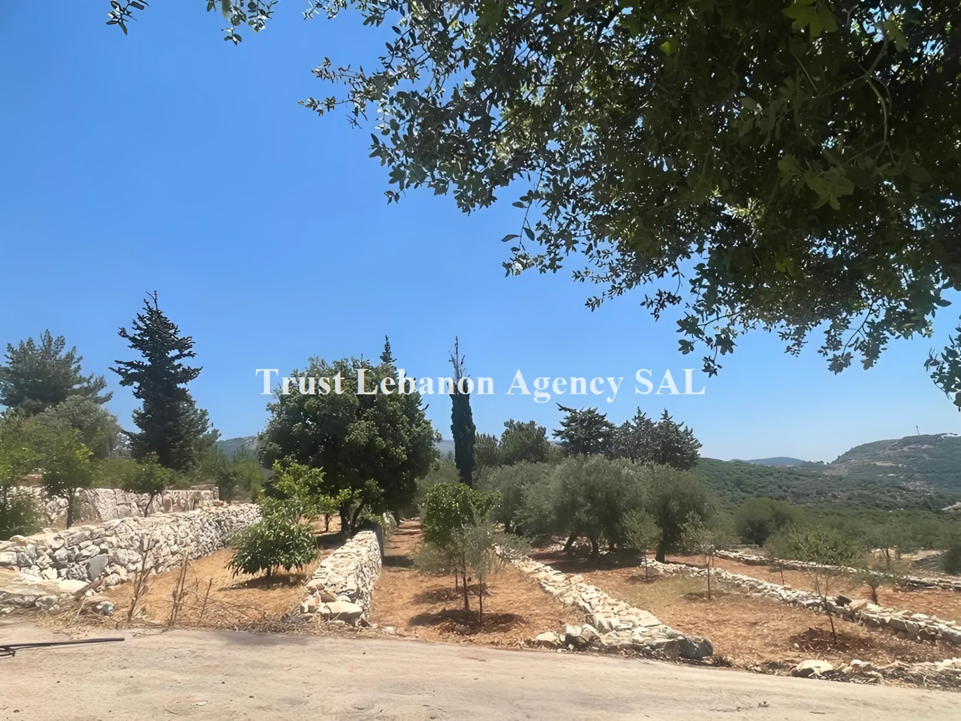 Land for Sale in Jezzine, Aanan