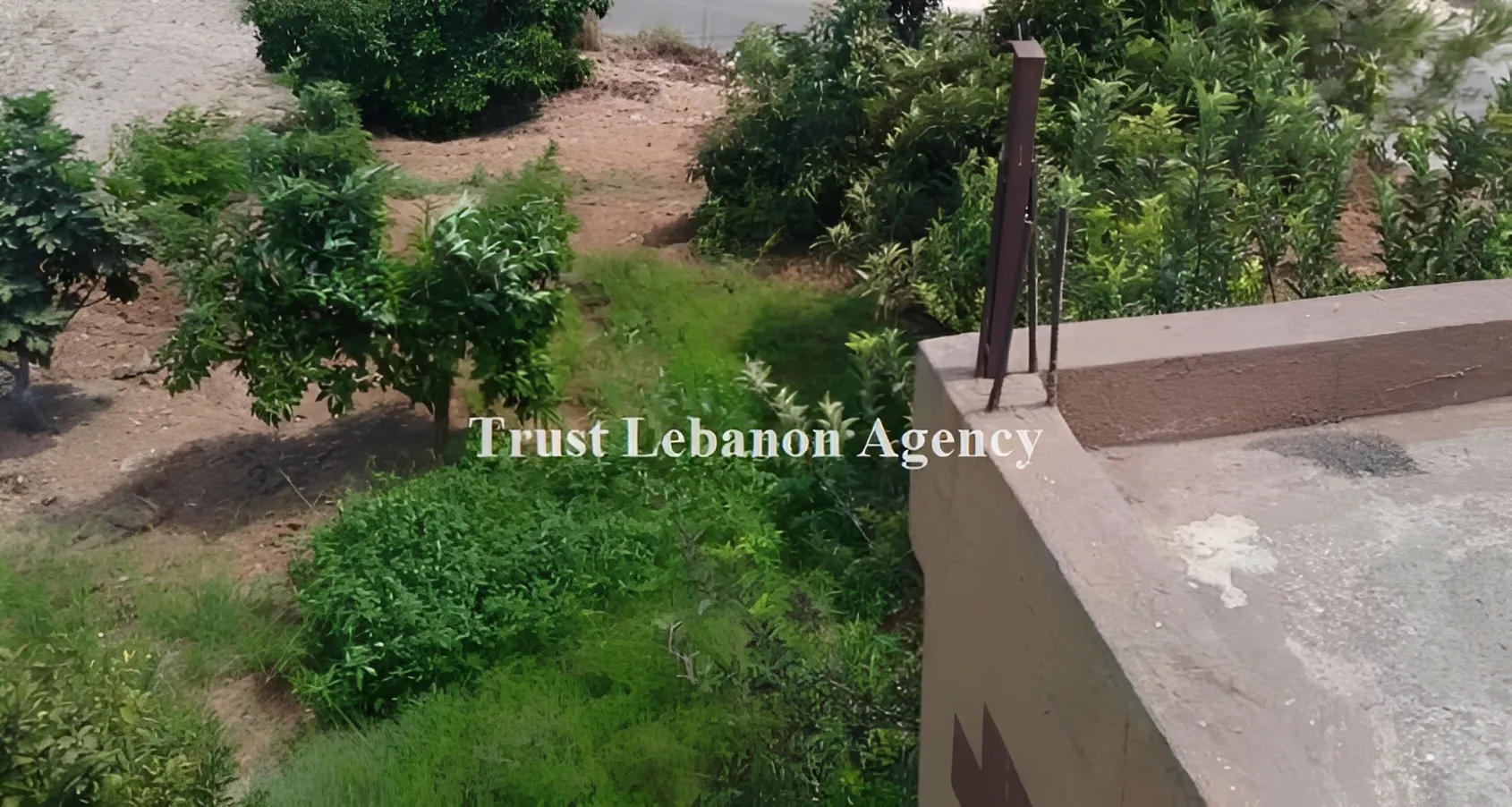 Land for Sale in Nabatiye
