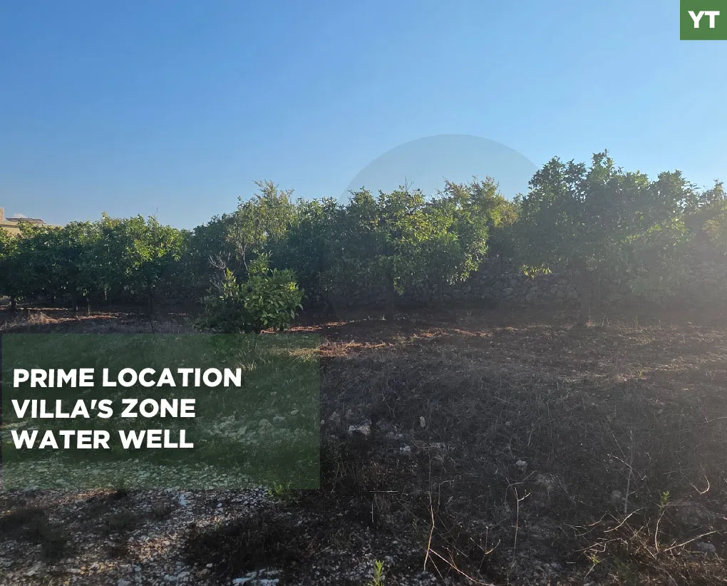 Land for Sale in Koura