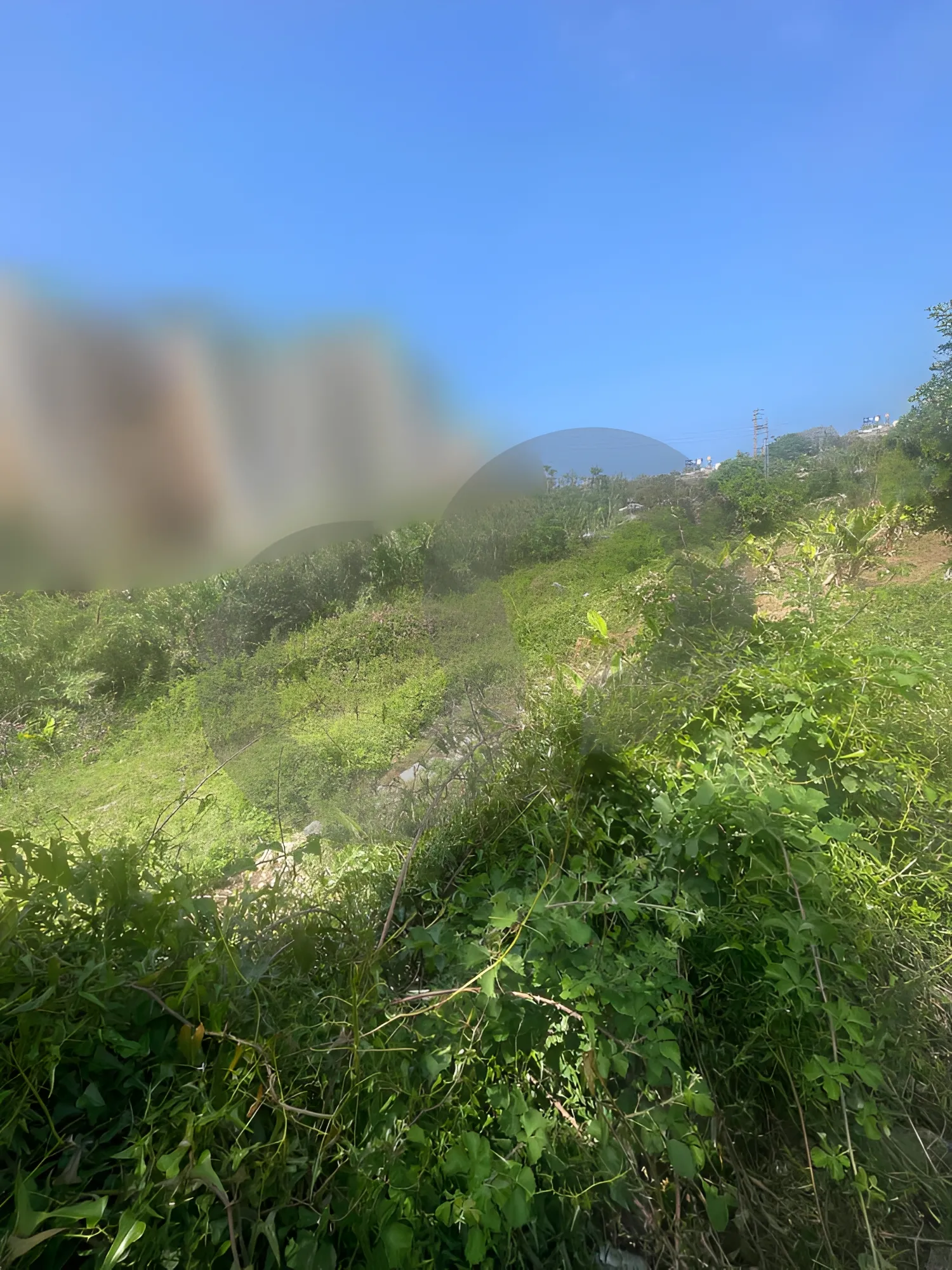 Land for Sale in Edde