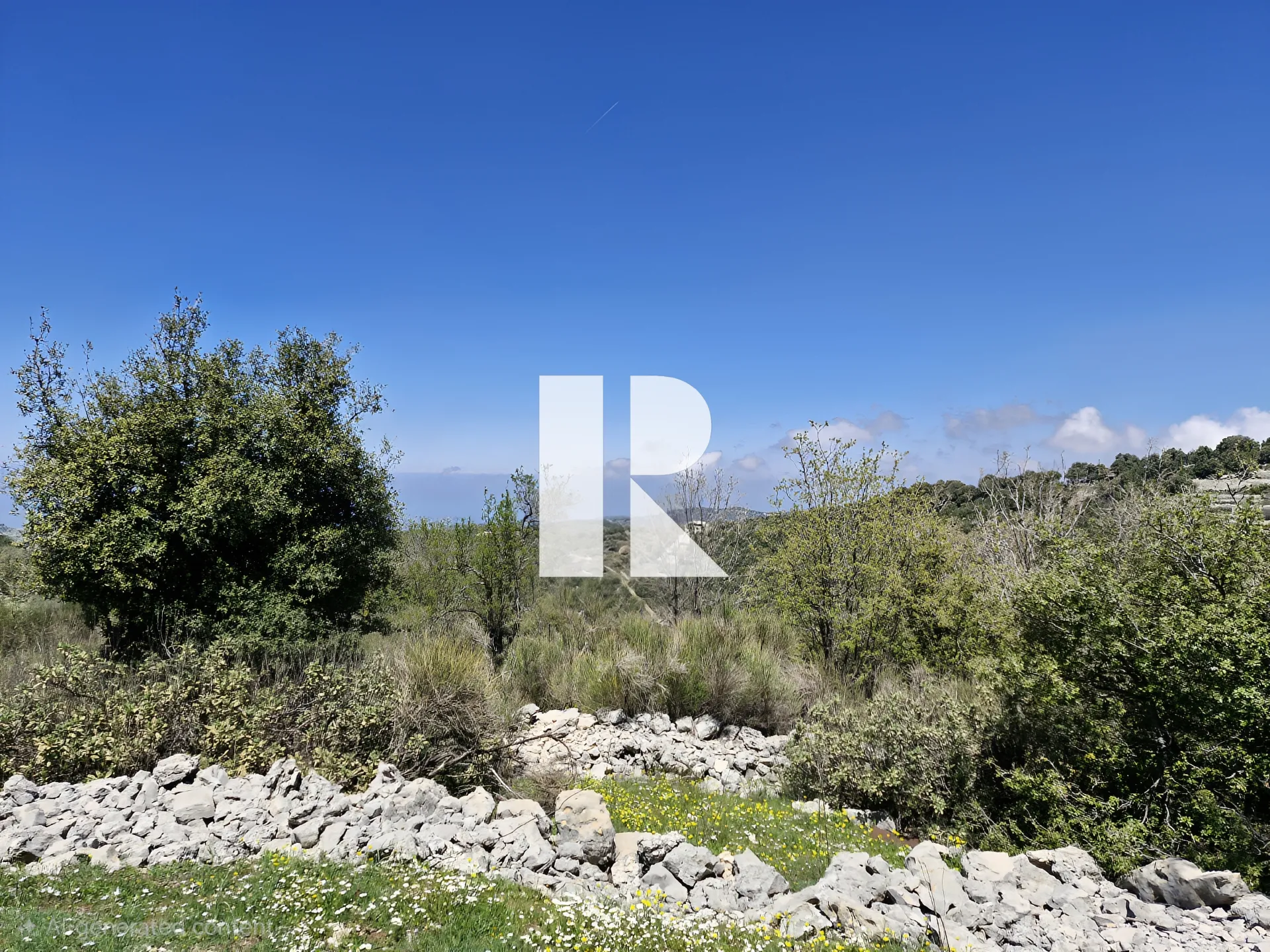 Land for sale in Mechmech, lebanon