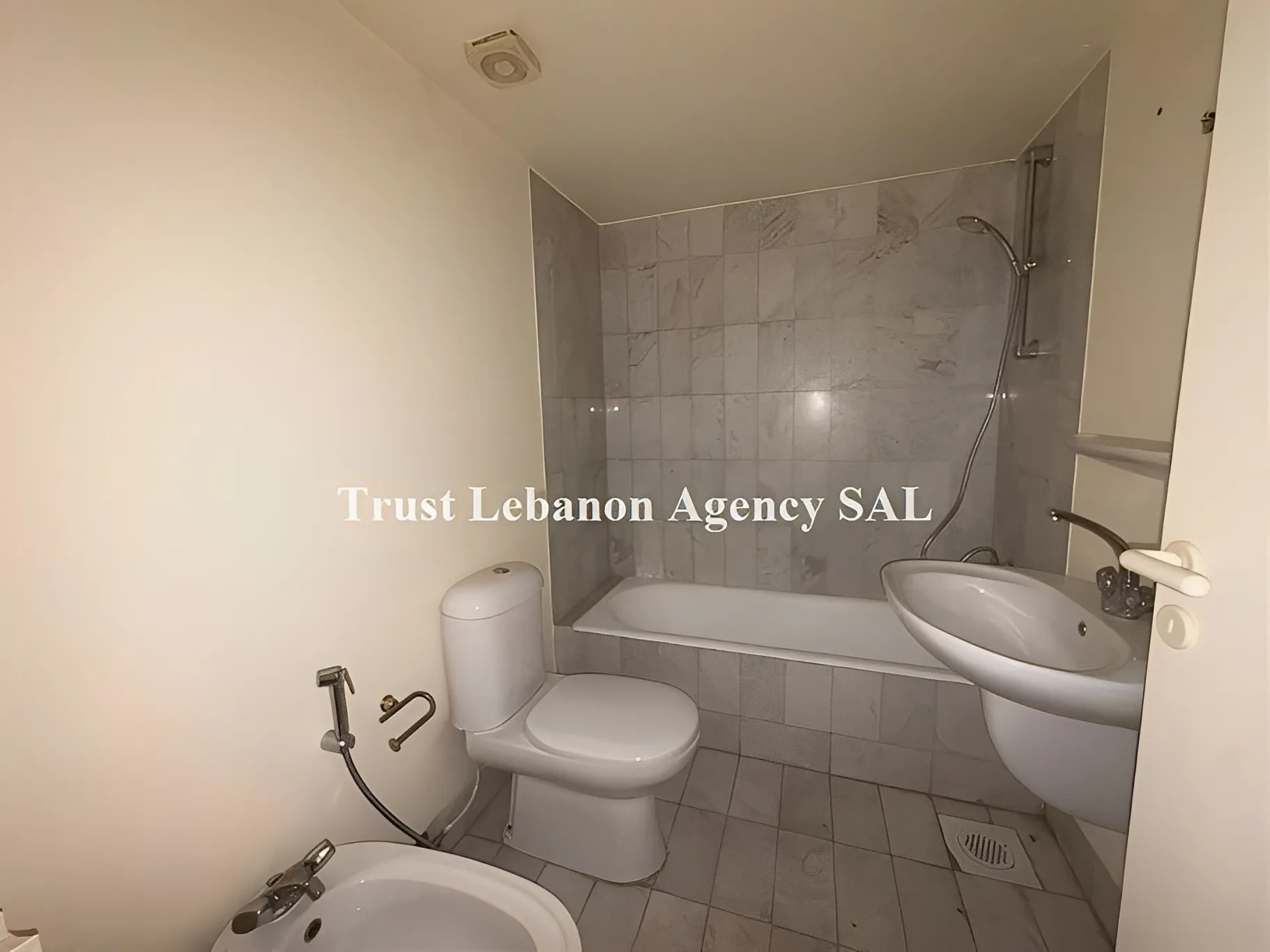Apartment for Rent in Achrafieh Sursock