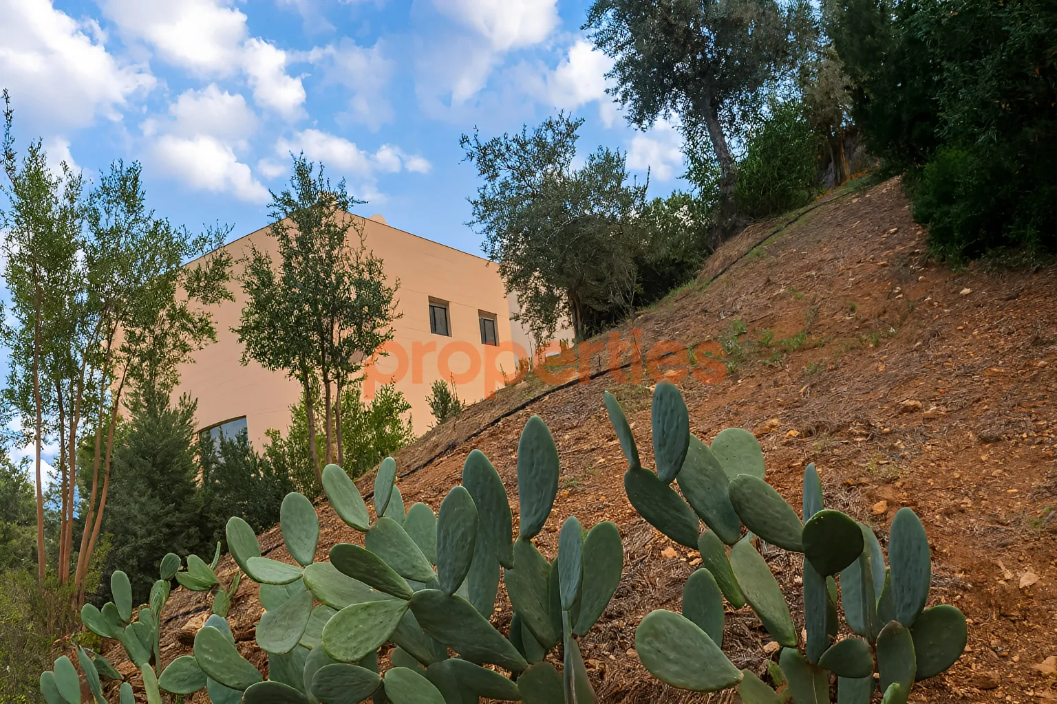 Residential Land for Rent in Mar Roukouz