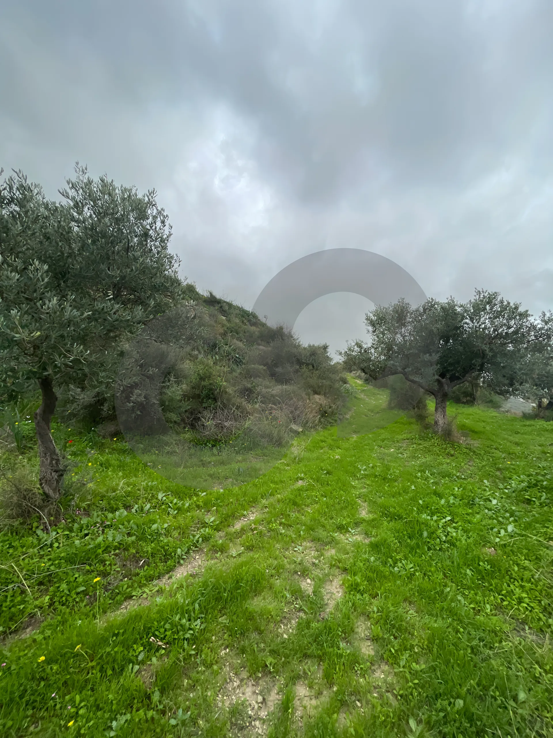 Land for Sale in Chekka