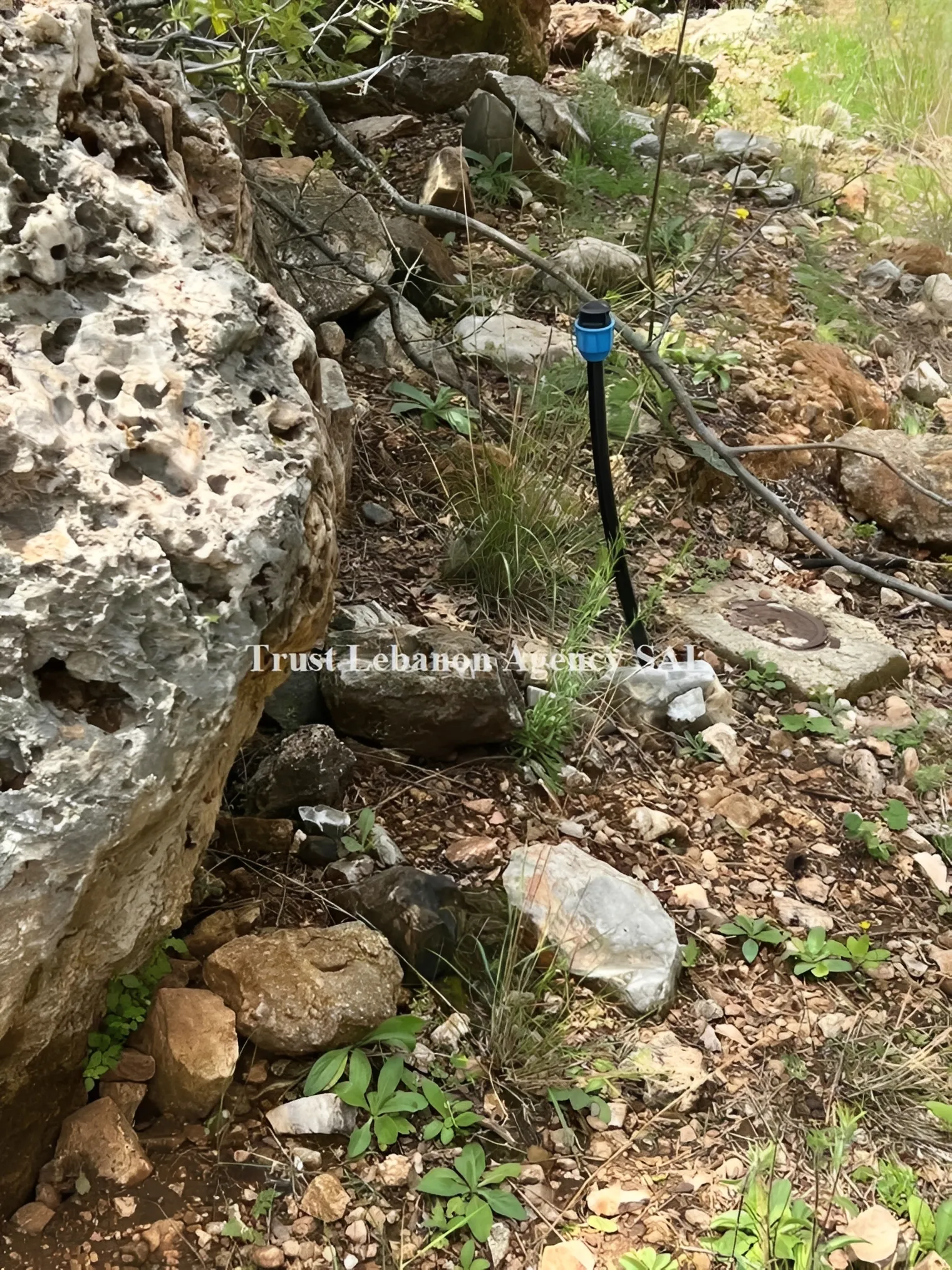 Land for Sale in Chouf Mazraet Al Daher