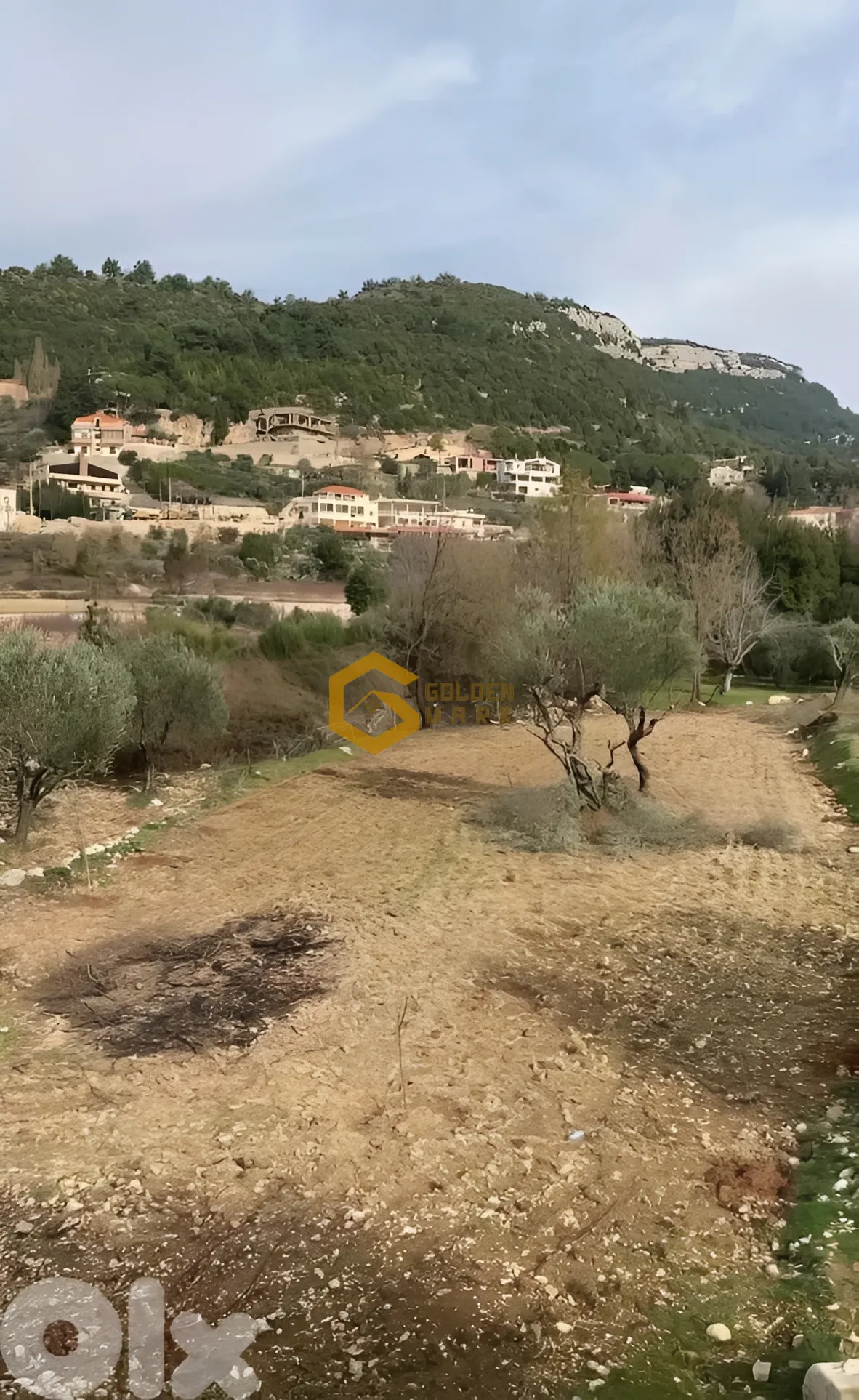 Land for Sale in Lehfed