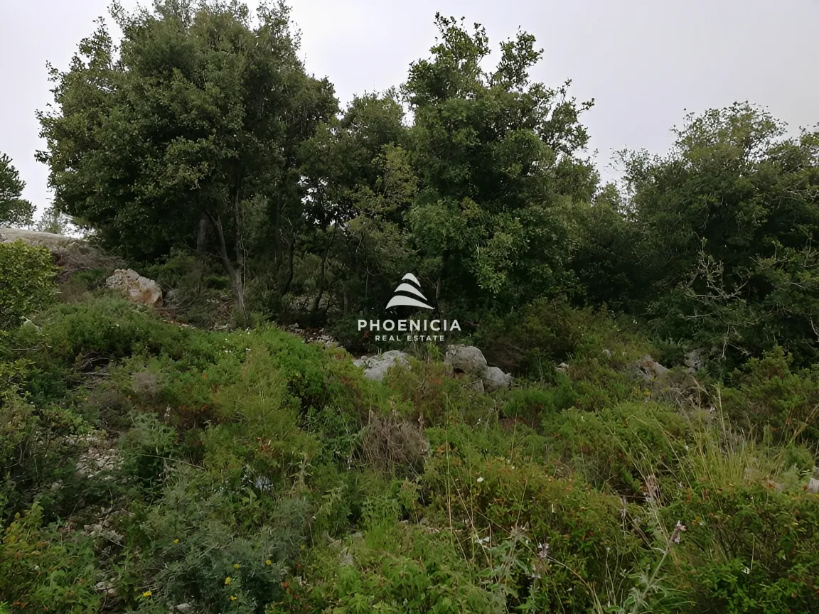 Land for Sale in Blat