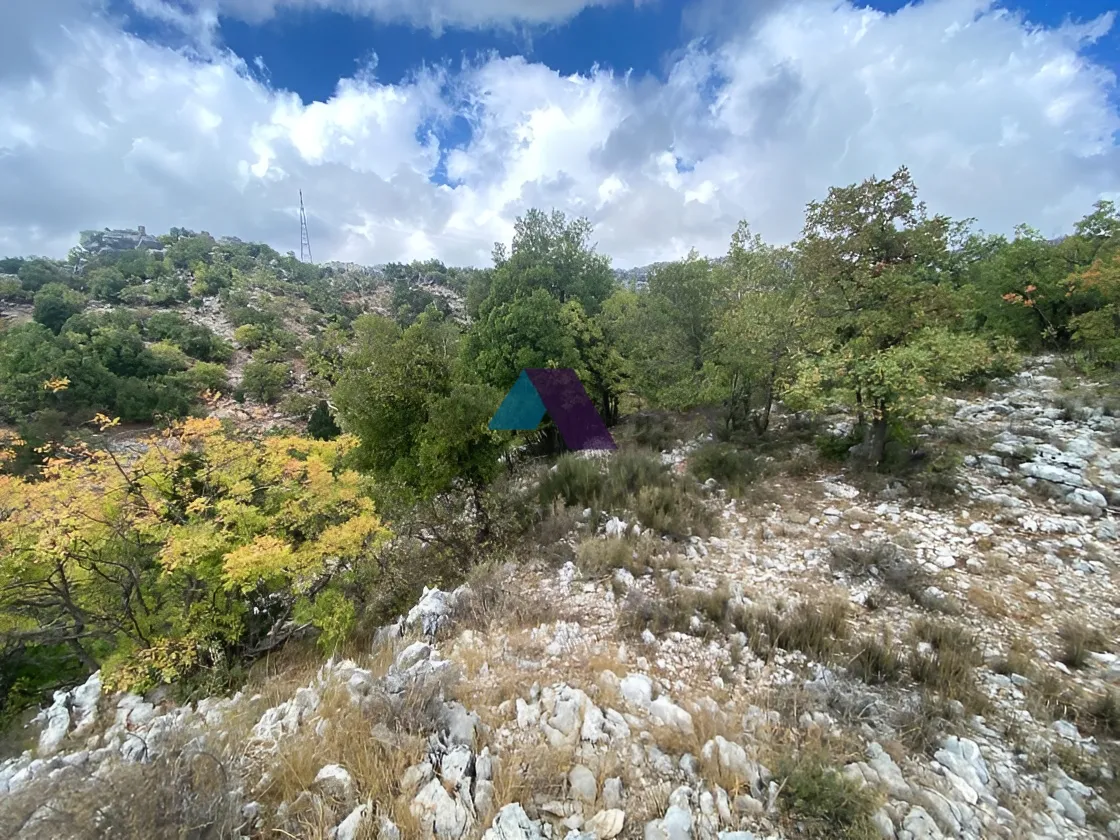 Land for Sale in Faitroun