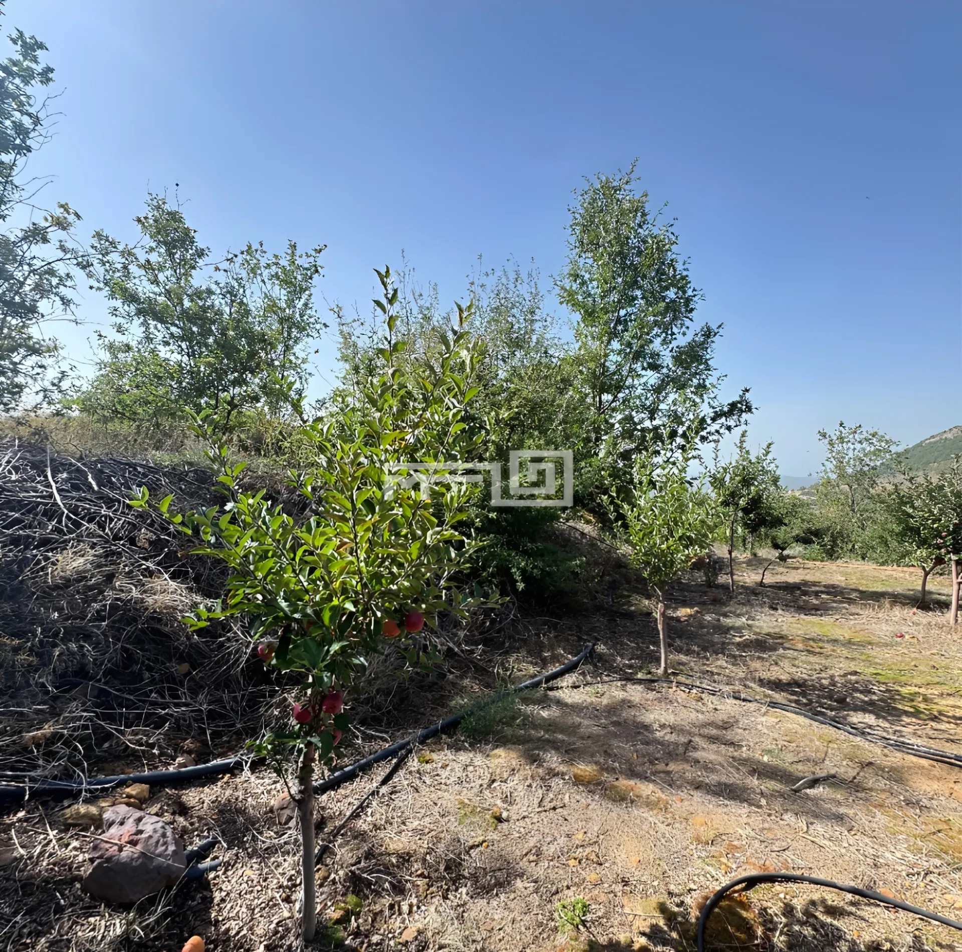 Residential Land for sale in Baskinta