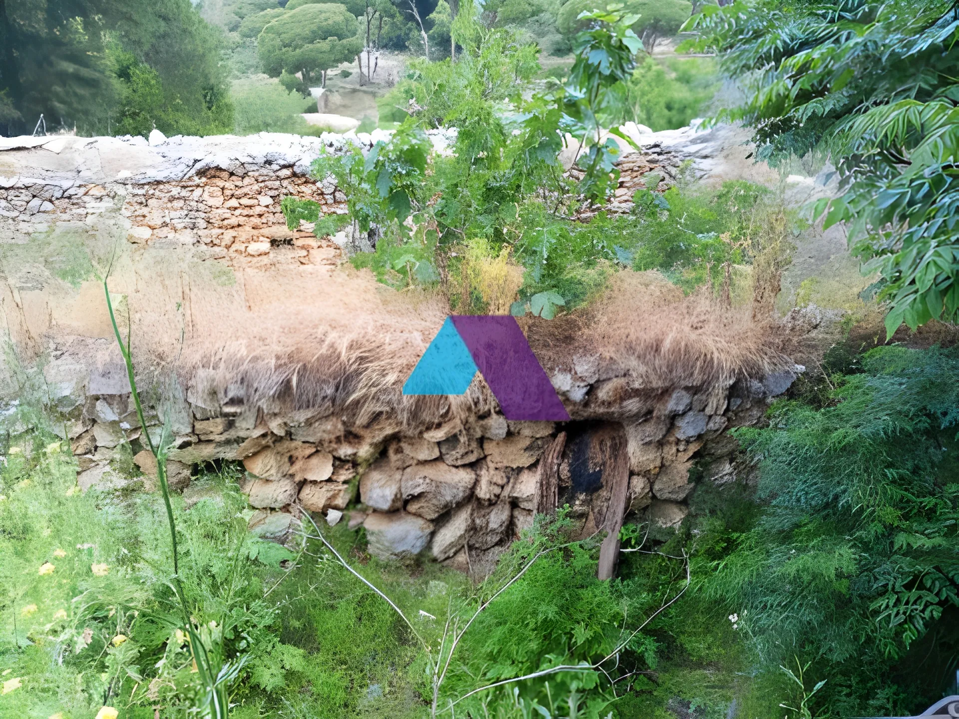 Land for Sale in Batroun