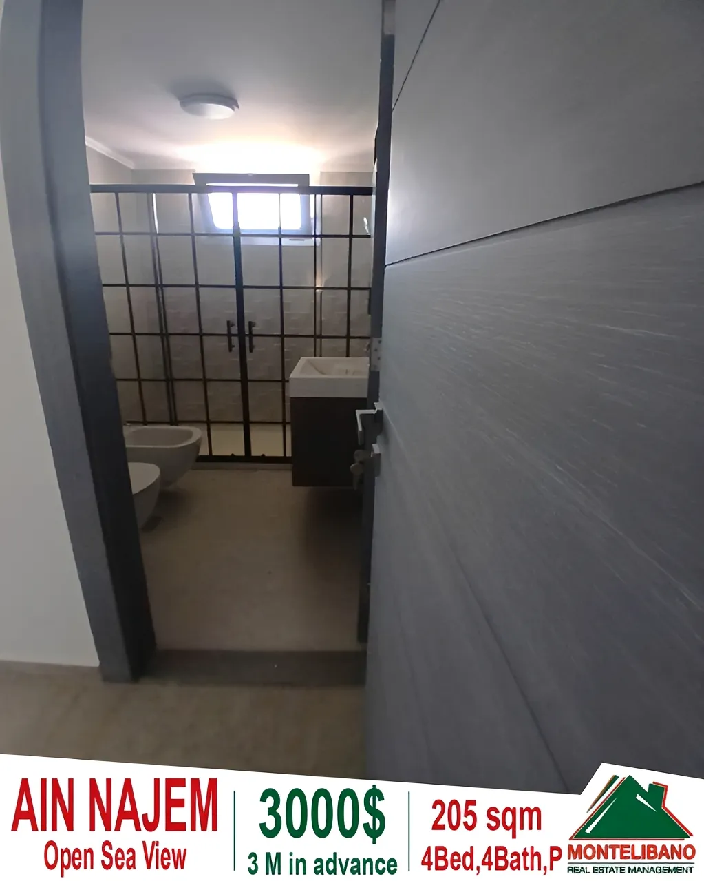 Apartment for rent in Ain Saadeh, Lebanon