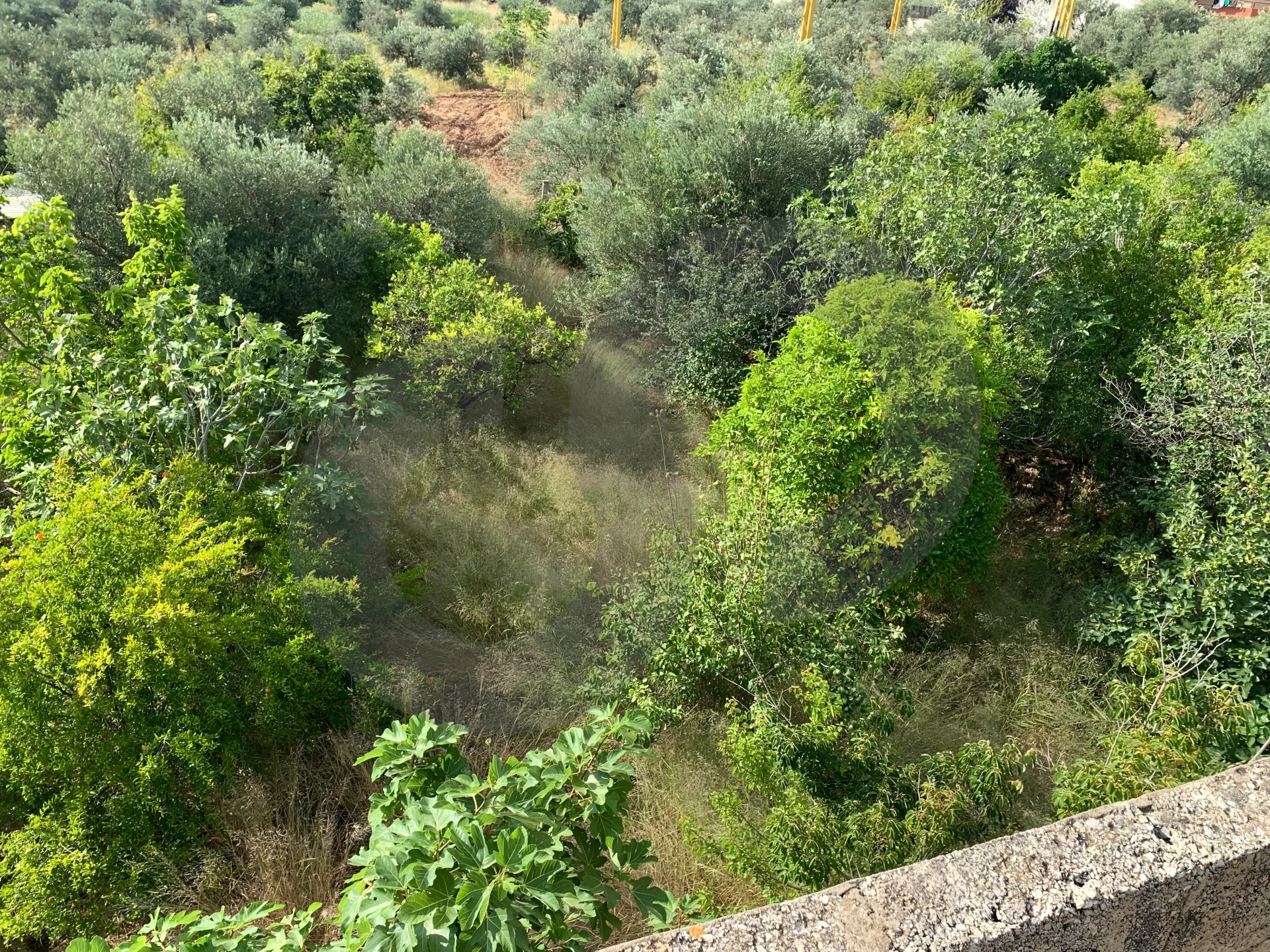 Villa for Sale in Kousba - 2 bed, 2 bath