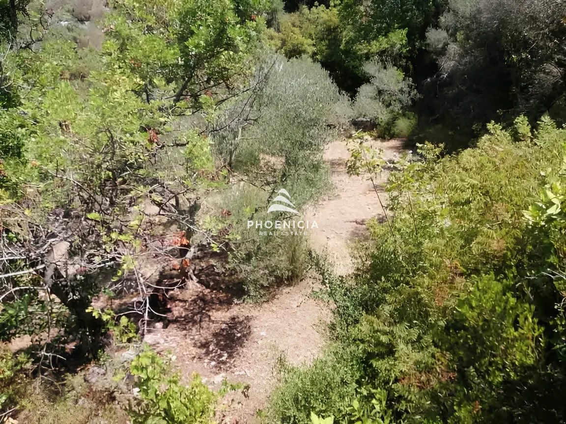 Land for Sale in Monsef
