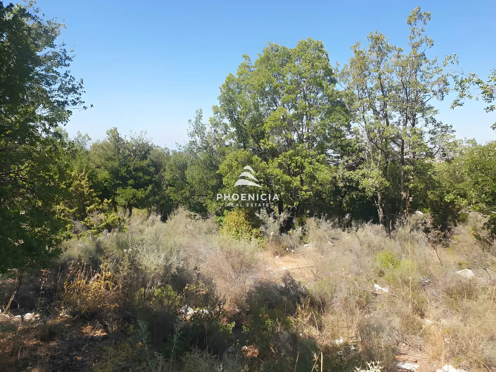 Land for Sale in Mechmech