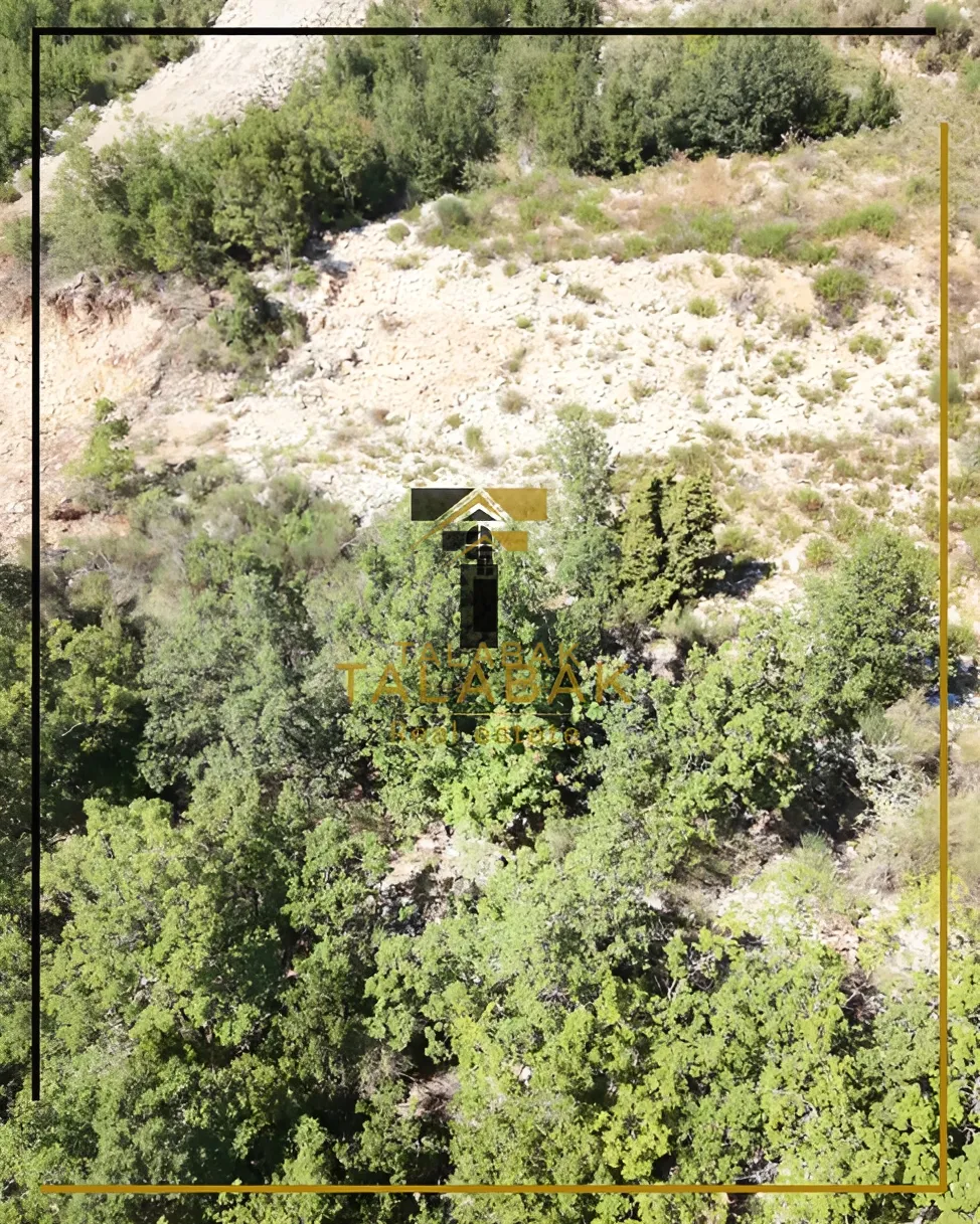 Residential Land for sale in Mechmech