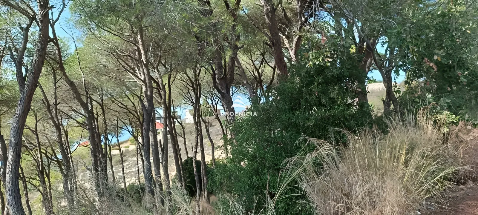 Land for Sale in Gharzouz