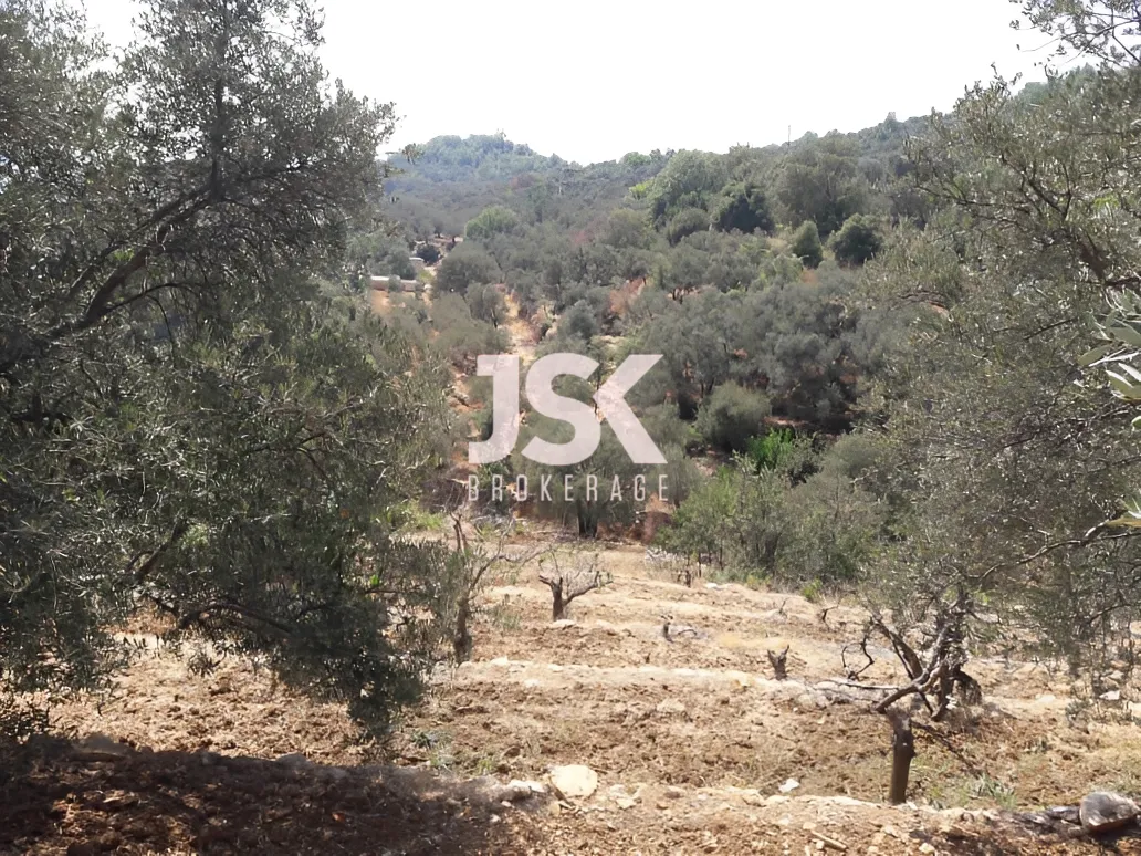 Land for Sale in Qaaqour, Lebanon