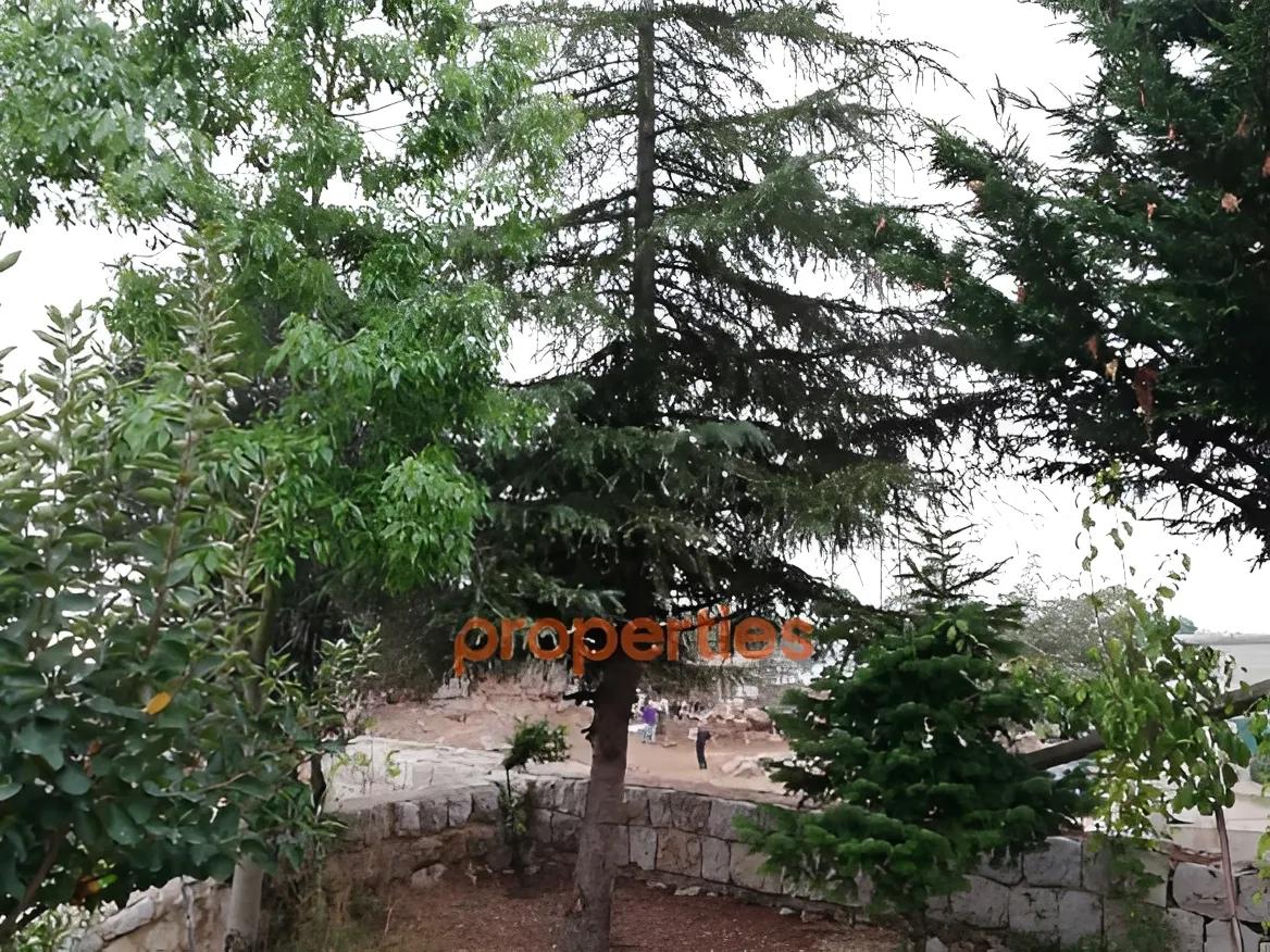 Residential Land for Sale in Ghineh