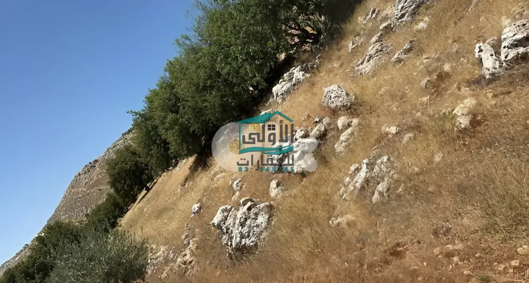 Land in كوكبا، راشيَا، lebanon