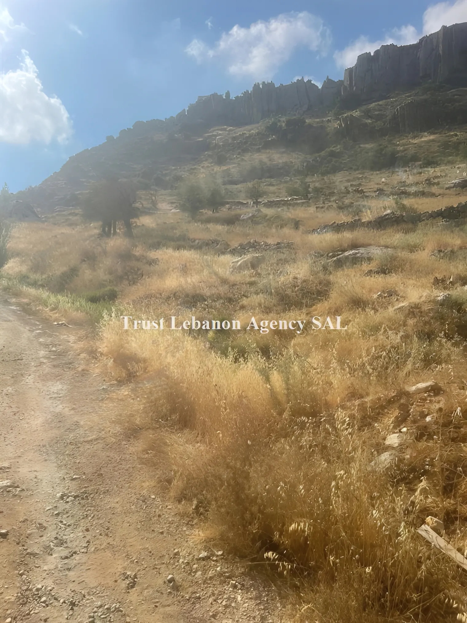 Land for Rent in Keserwan Faraya Lebanon