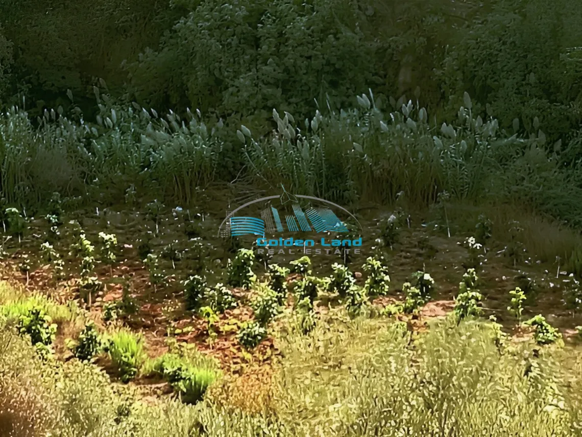 Land for Sale in Kfarshima, Lebanon
