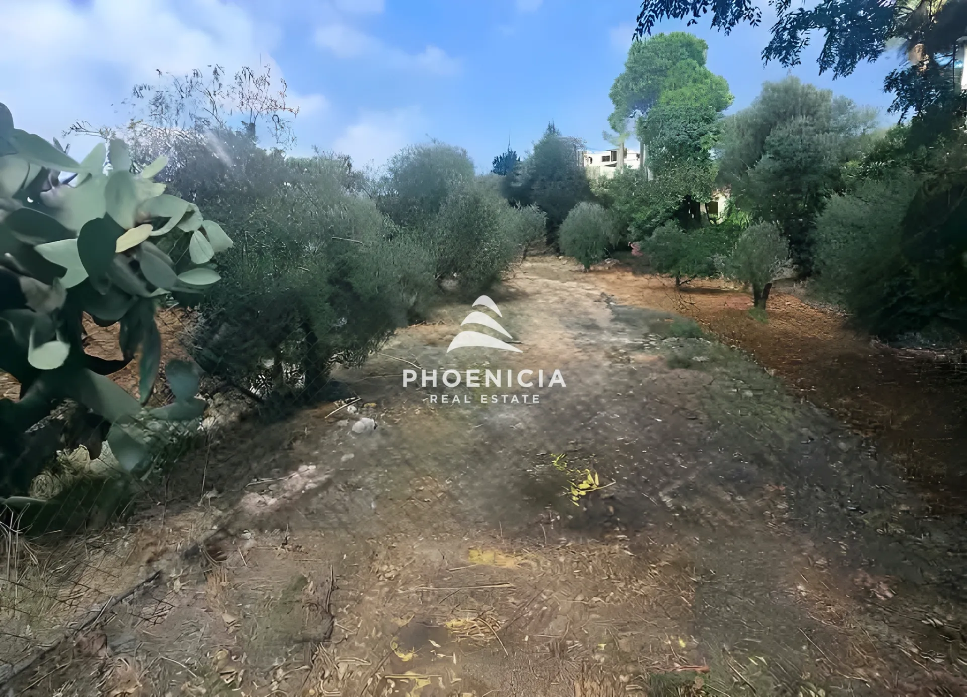 Residential Land for sale in Edde