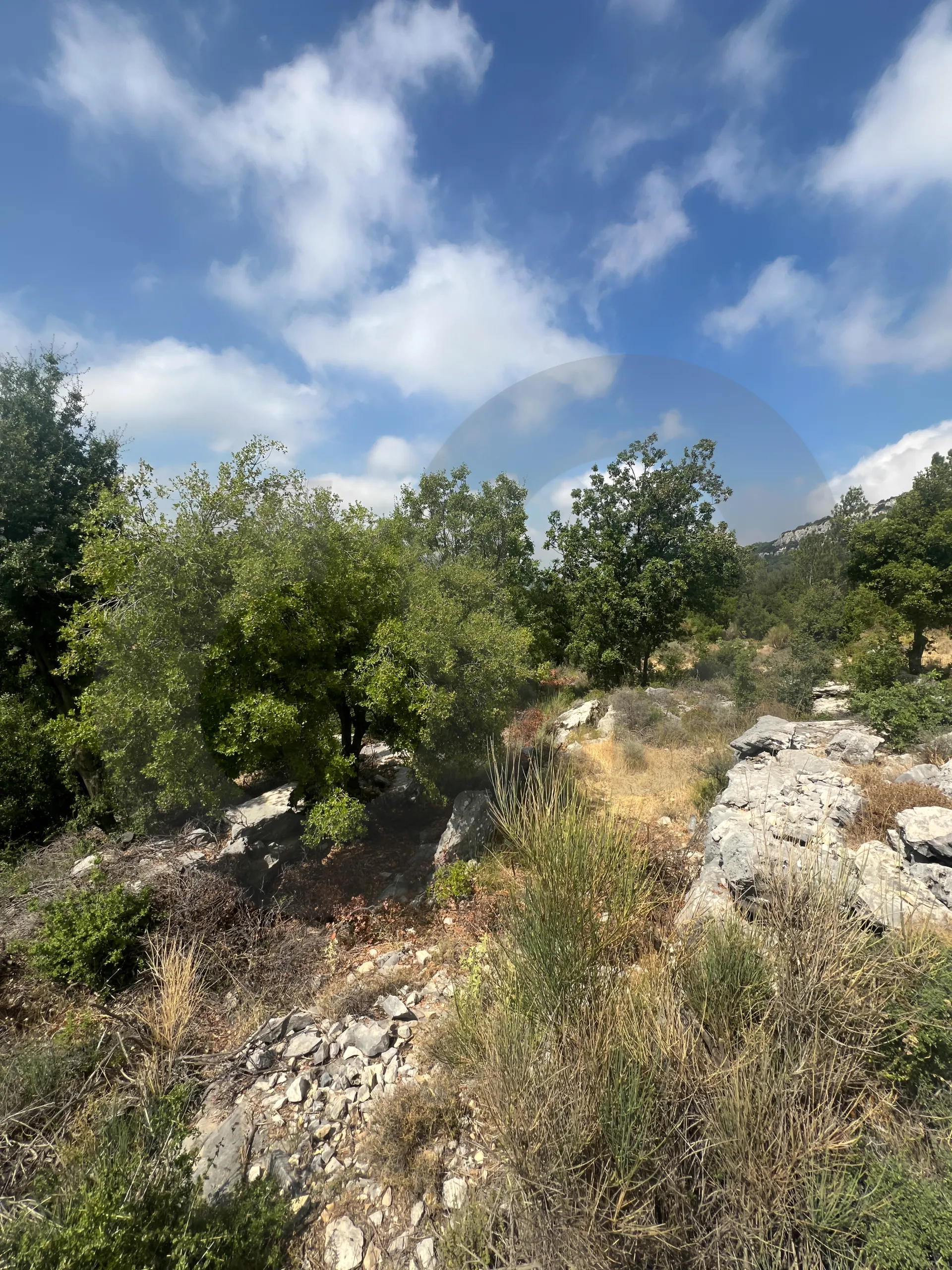 Land for Sale in Byblos