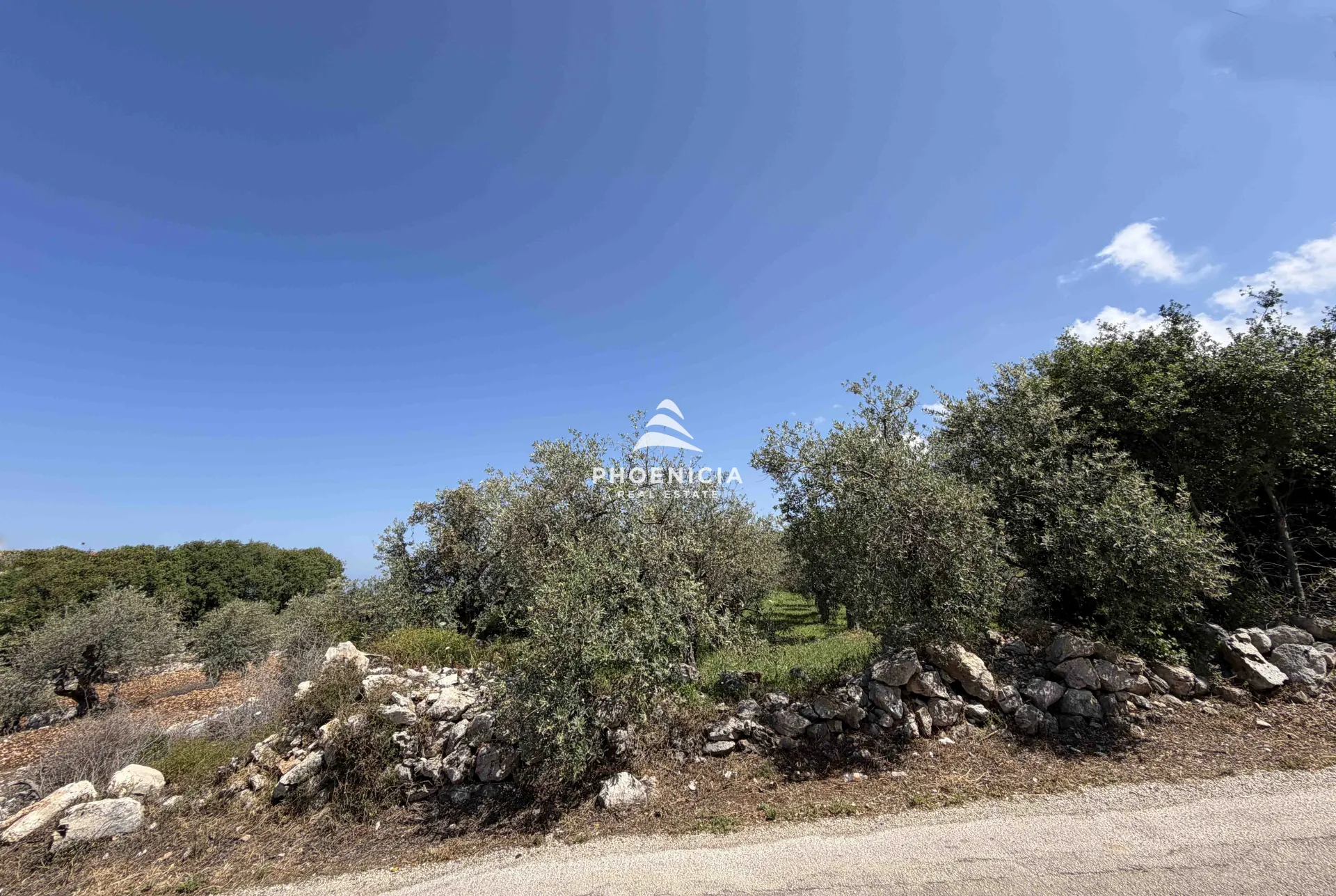 Land for Sale in Monsef