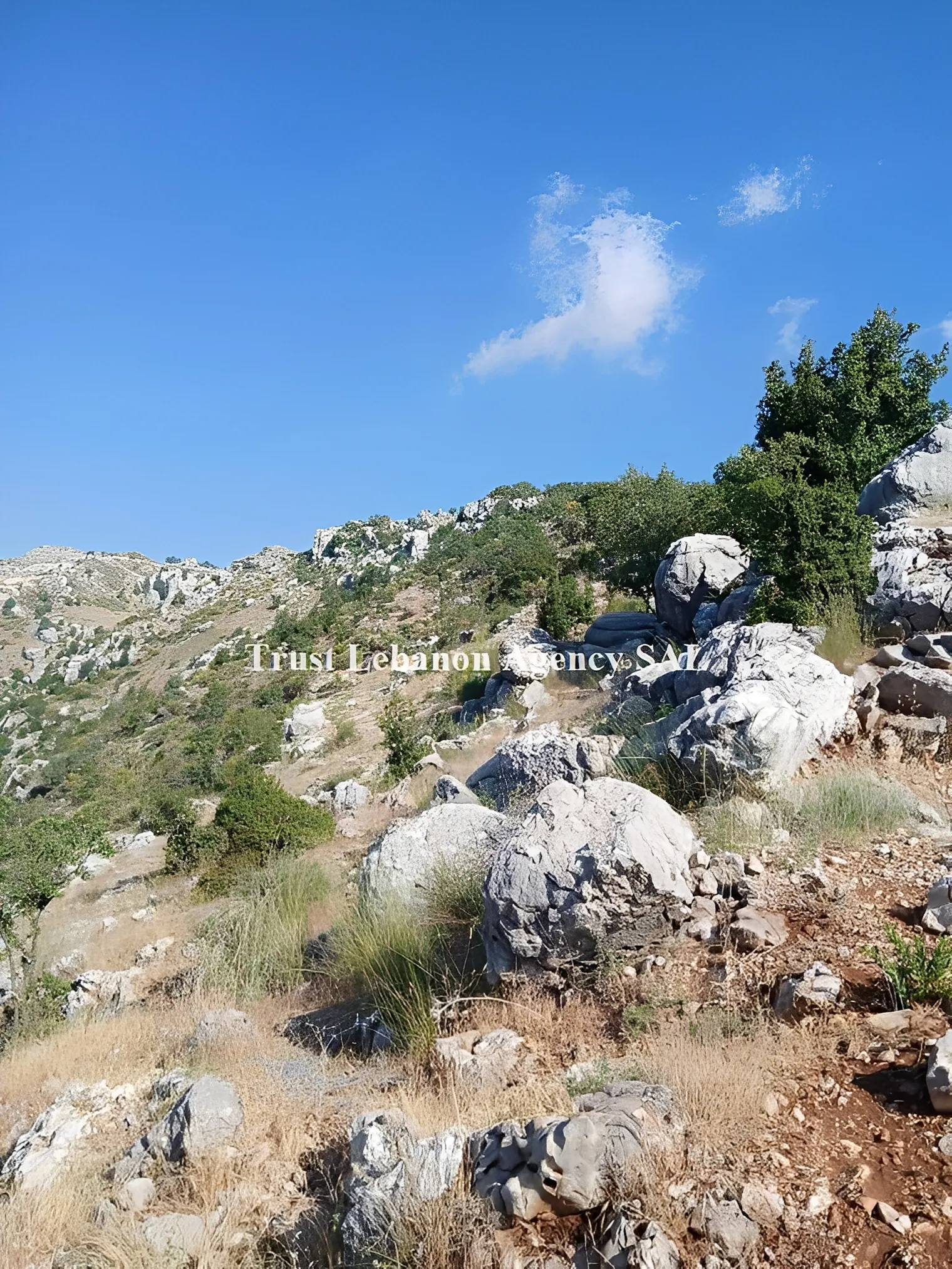 Land for Sale in Metn Zaarour Lebanon
