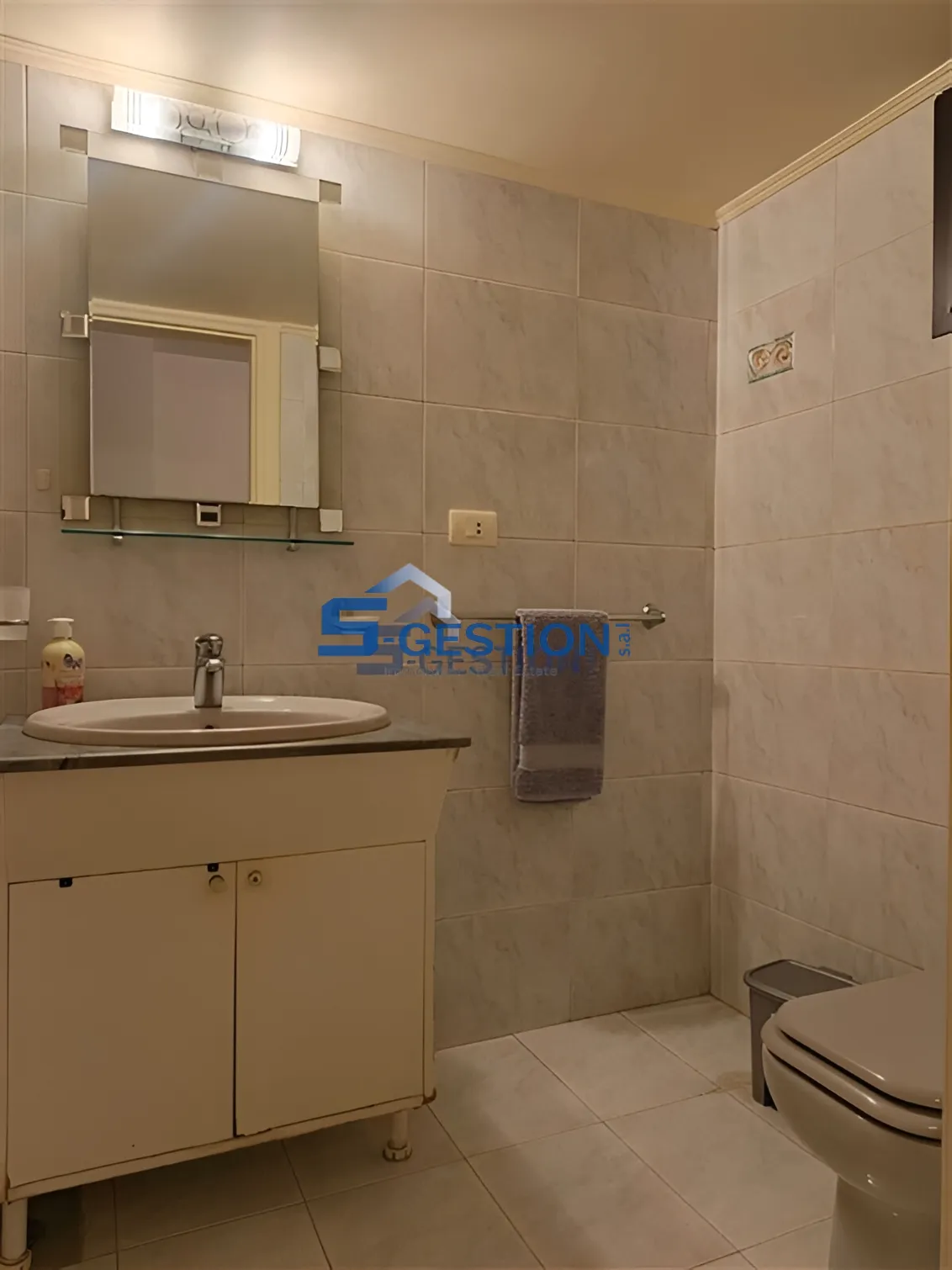 Apartment for Rent in Gemmayzeh - 3 bed, 3 bath