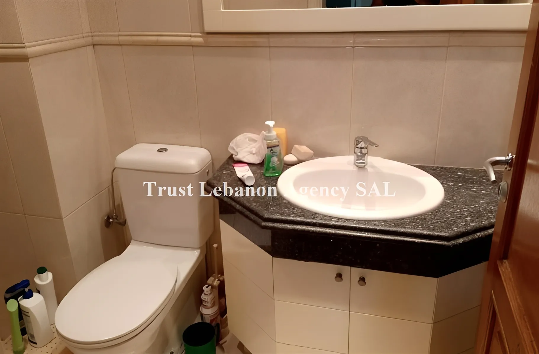 Apartment for Rent in Ashrafieh Beirut Lebanon
