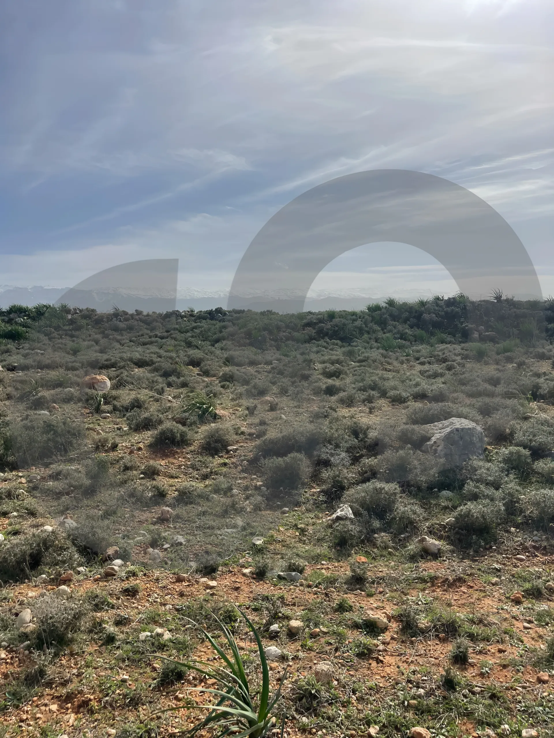Land for Sale in Zgharta
