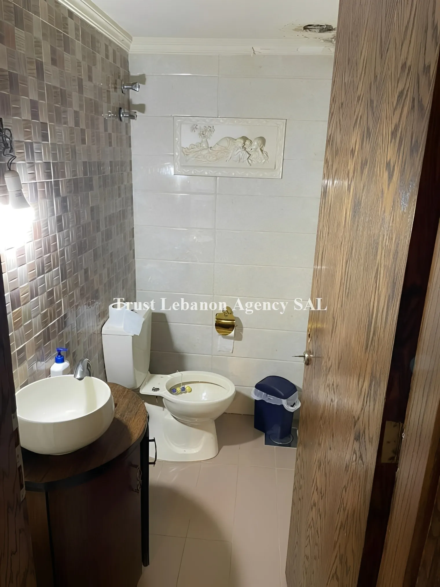Apartment for Sale in Metn Mar  Mousa Lebanon
