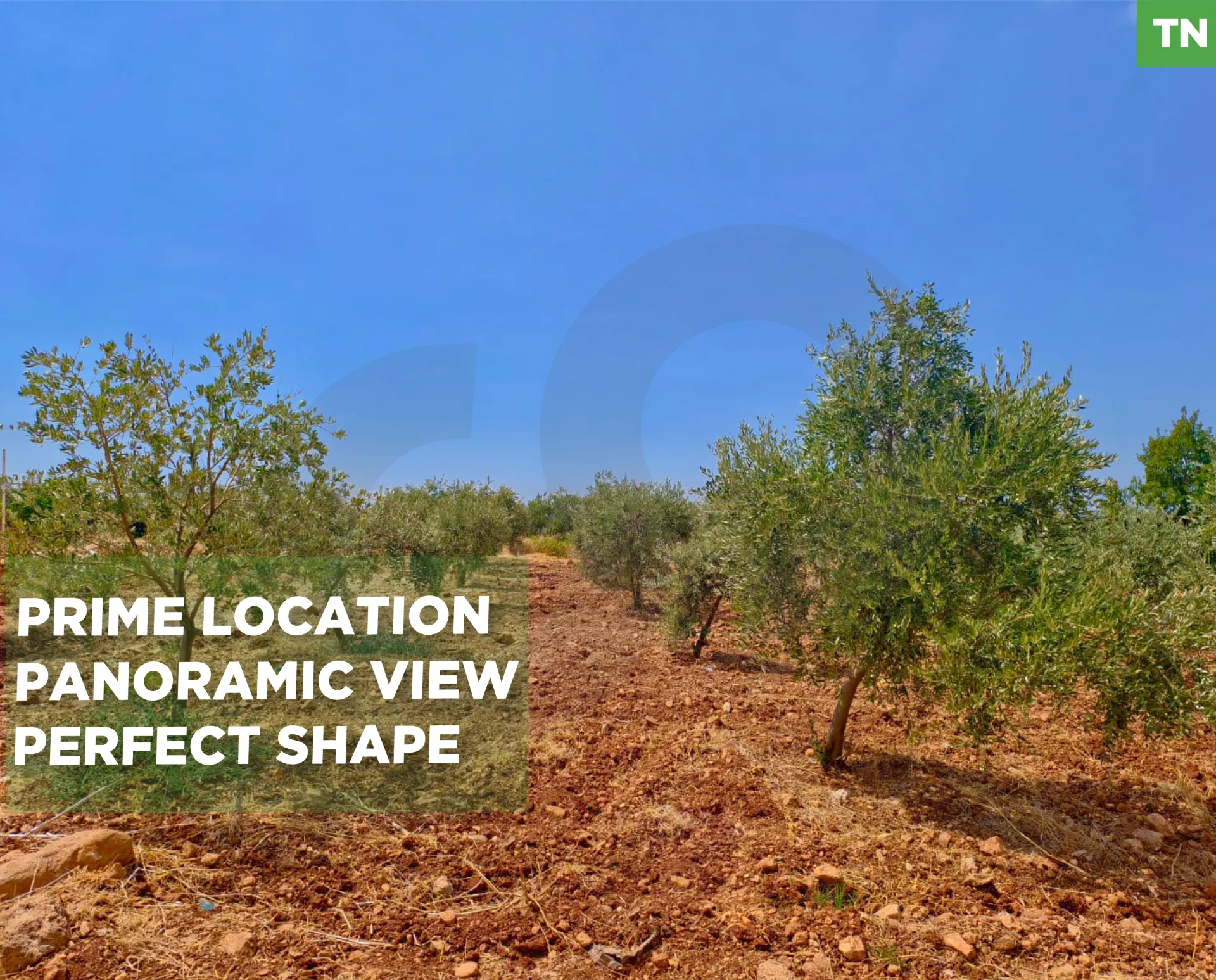 Land for Sale in Zgharta