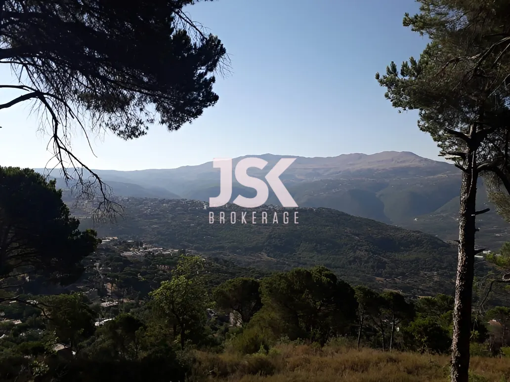 Land for Sale in Choueir, Lebanon