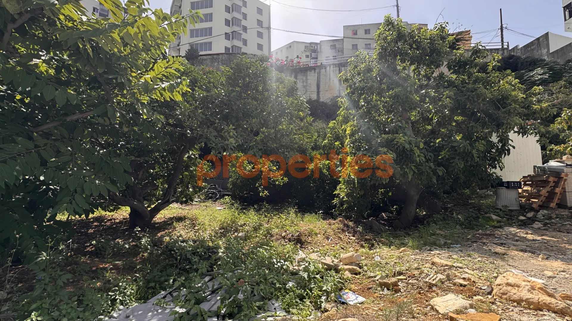 Residential Land for Rent in Aaoukar