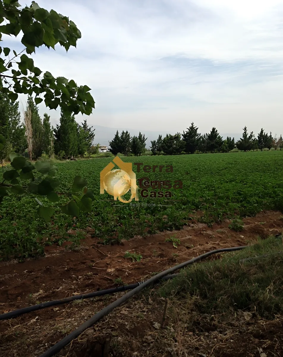 Land for Sale in Terbol