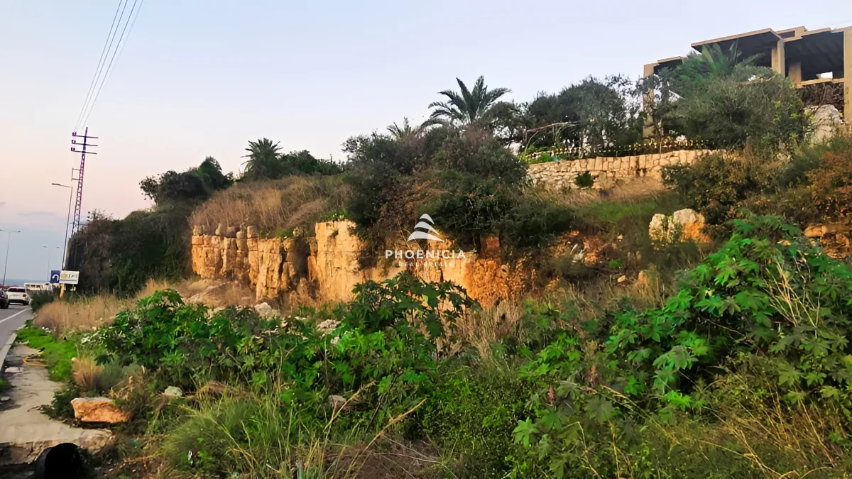 Land for Sale in Aamchit