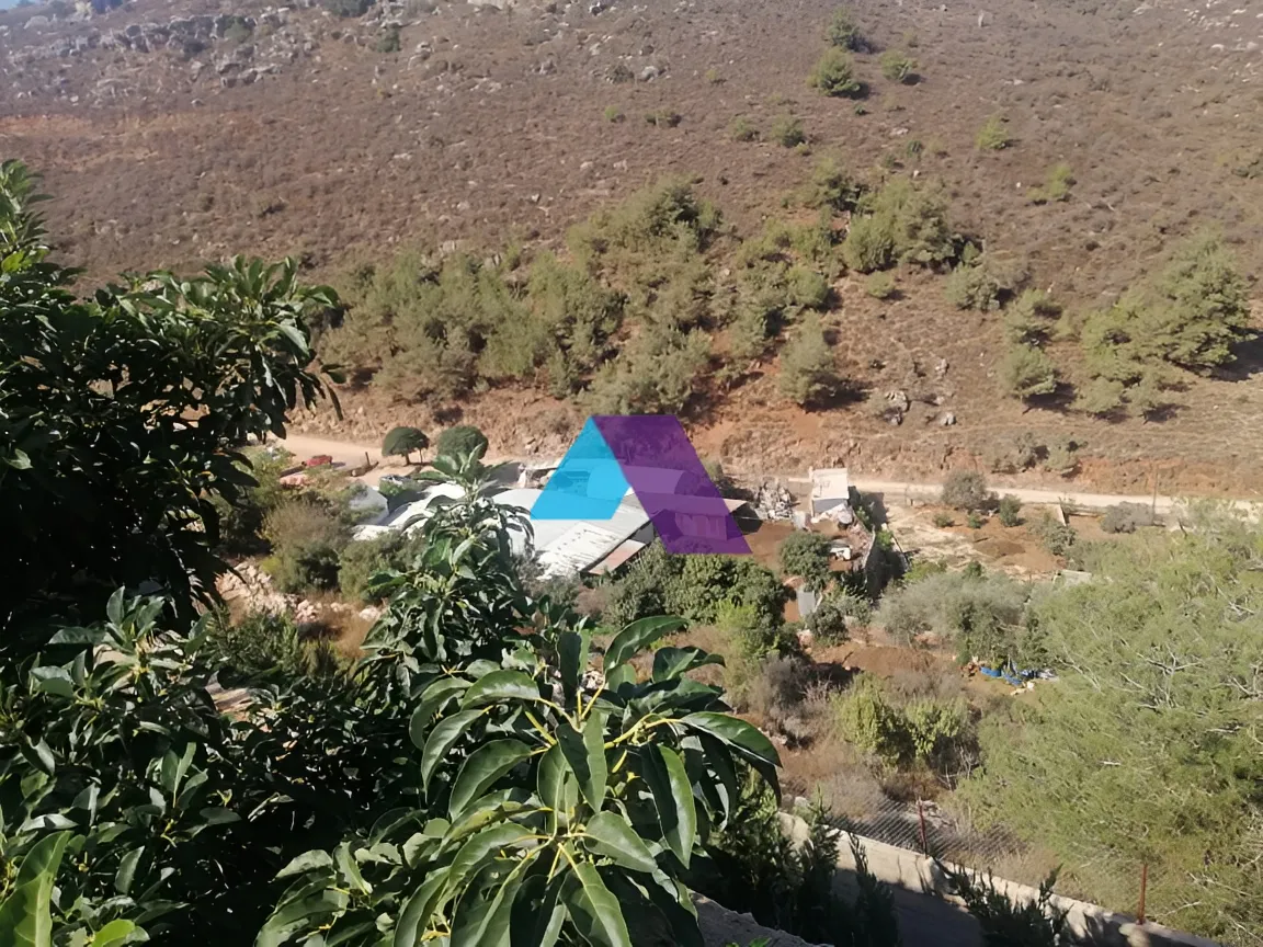 Land for Sale in Dibbiyeh