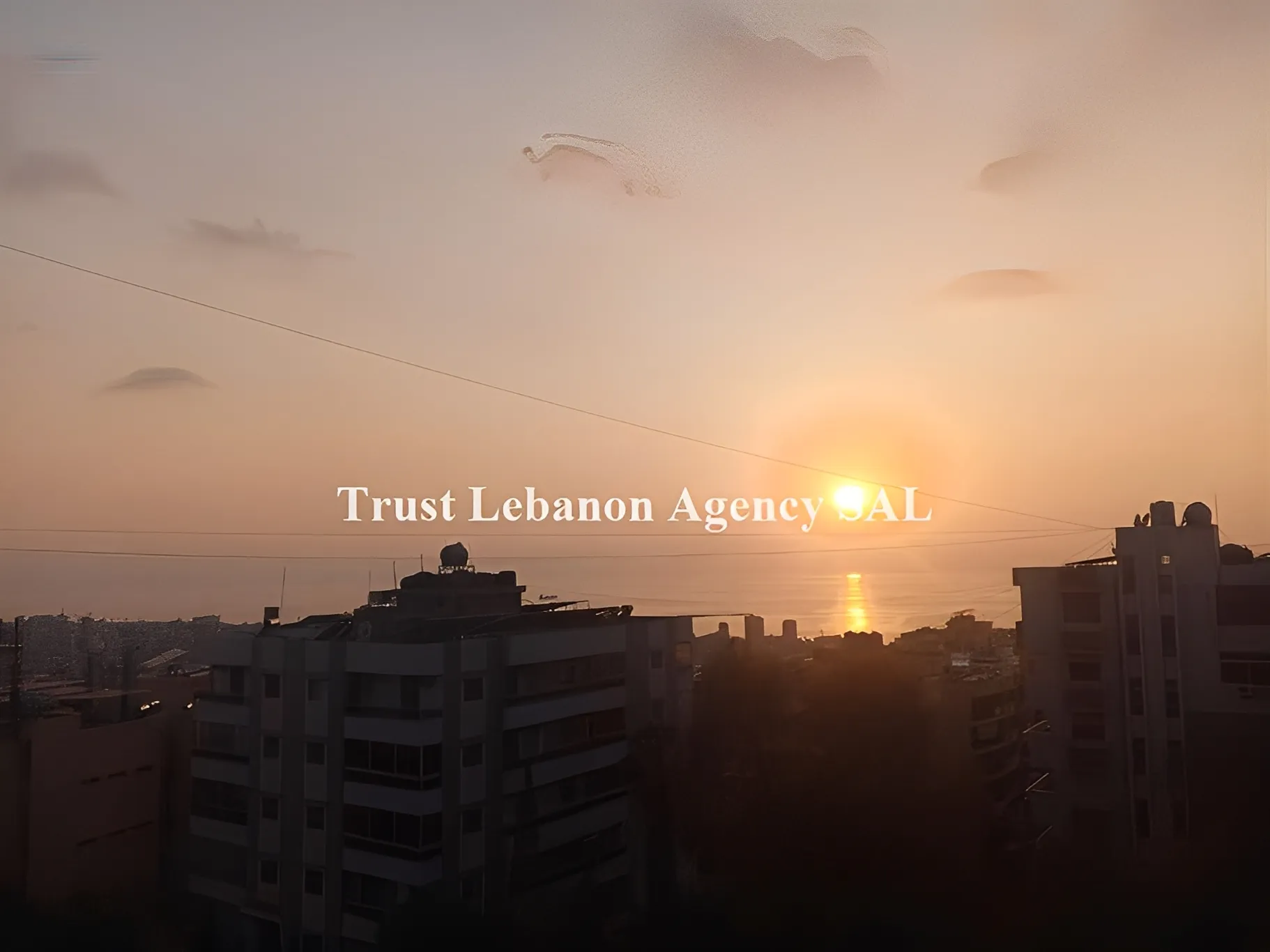 Land for Sale in Tyre