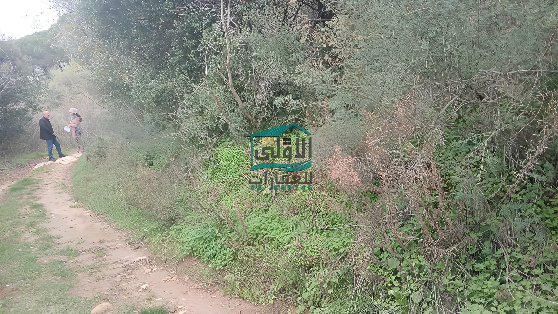 Land in Daqqoun, lebanon