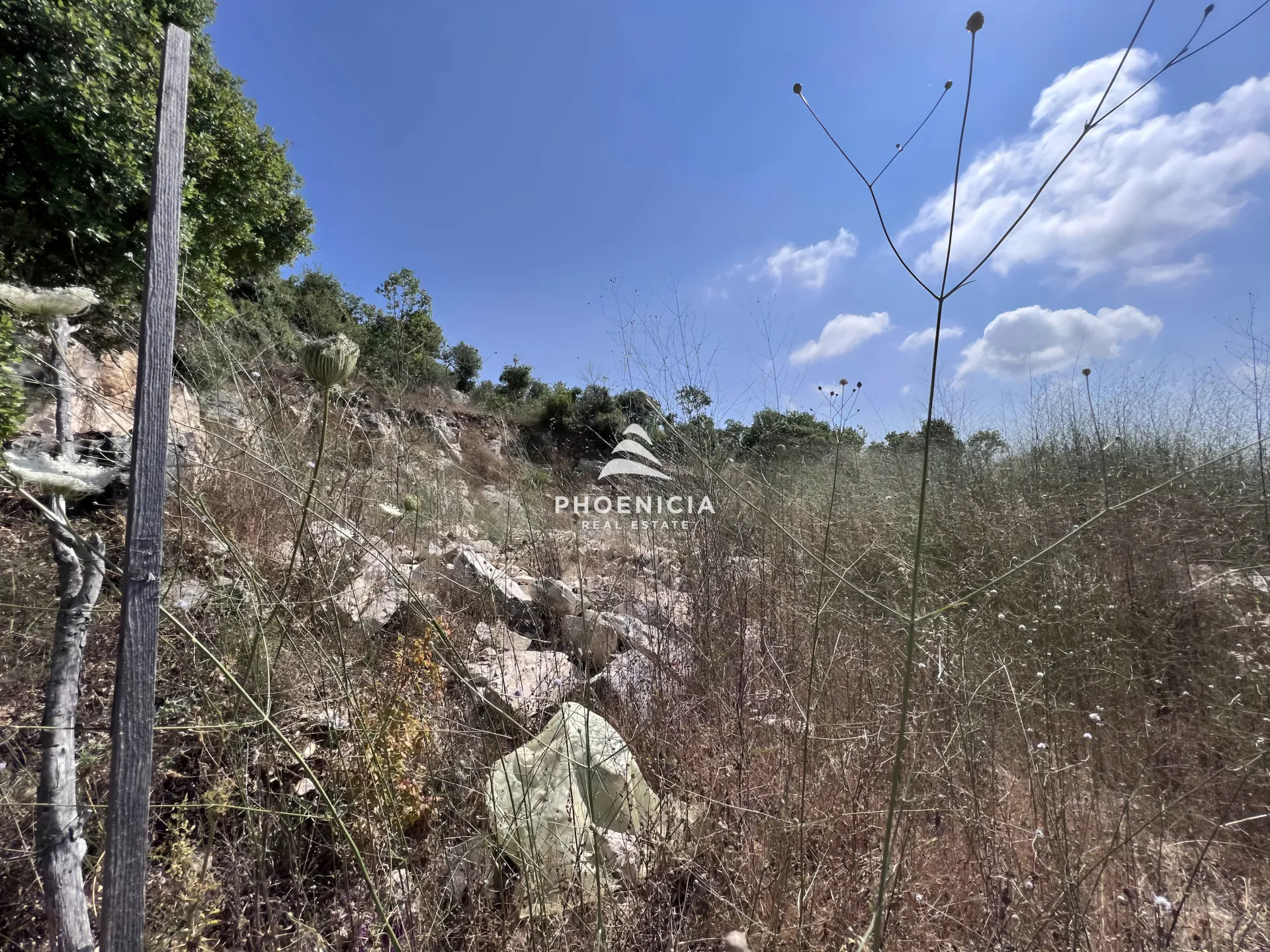 Land for Sale in Gharzouz