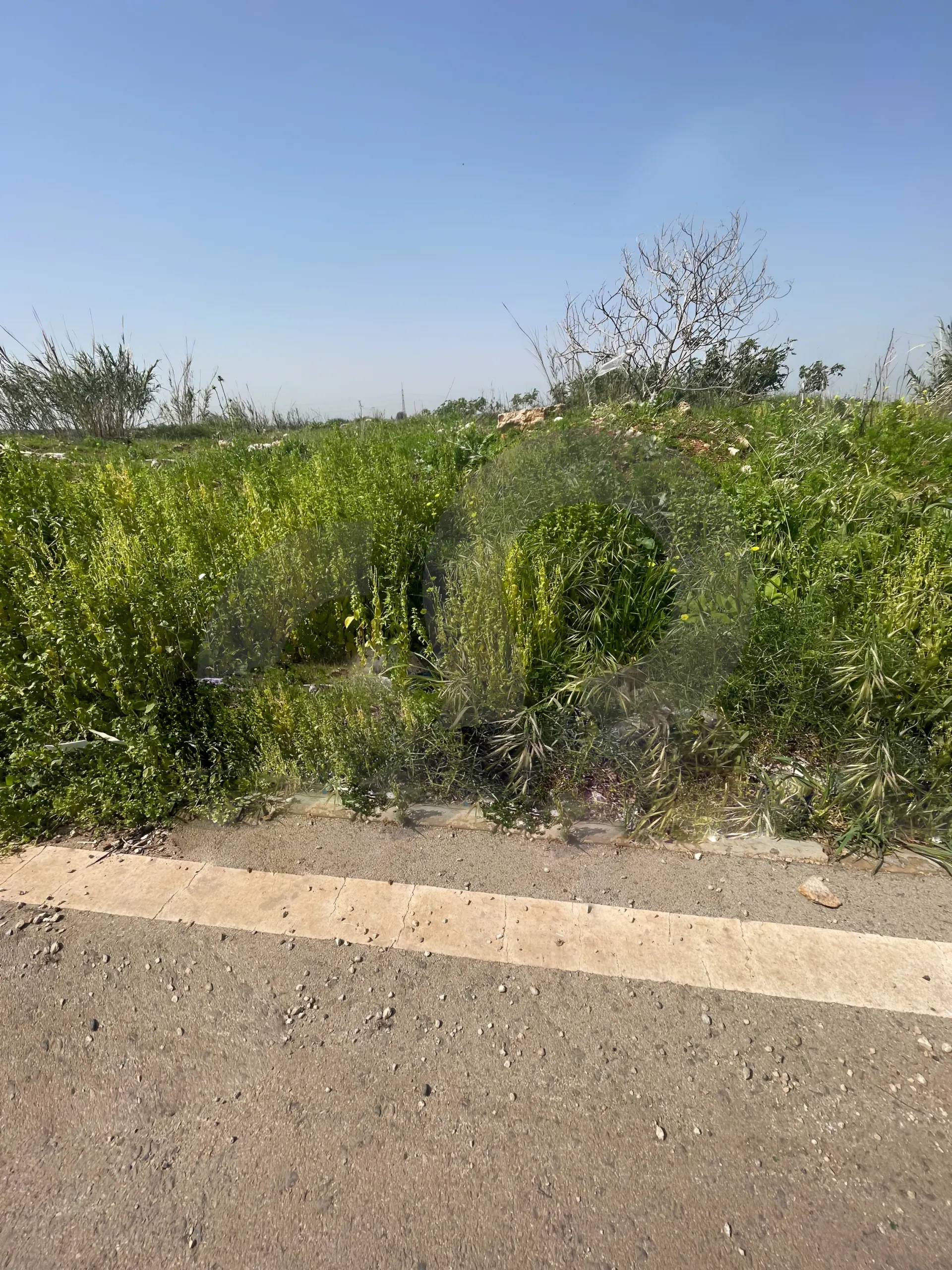 Land for Sale in Zgharta