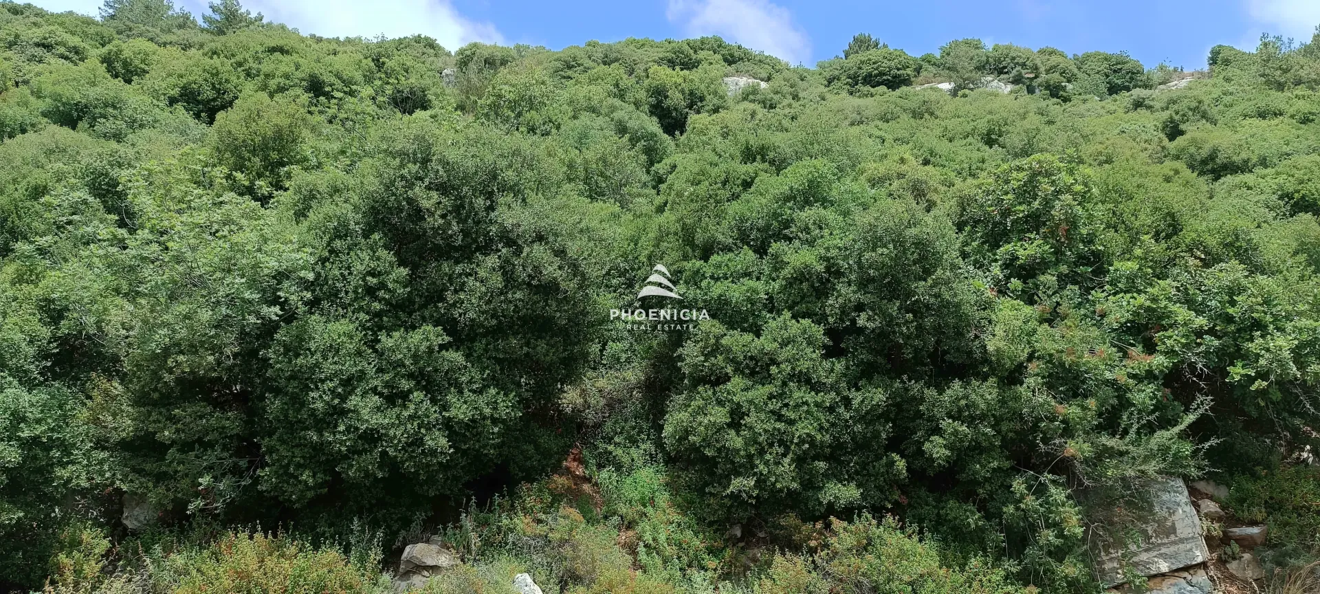 Land for Sale in Blat